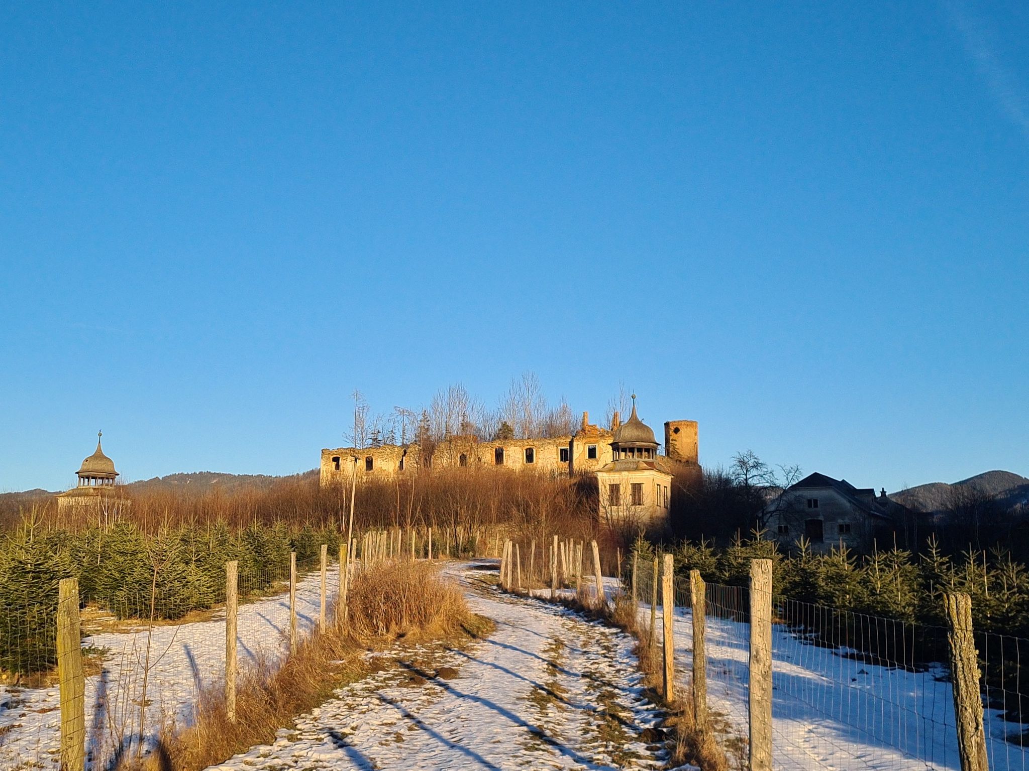 Ruine Schrattenberg