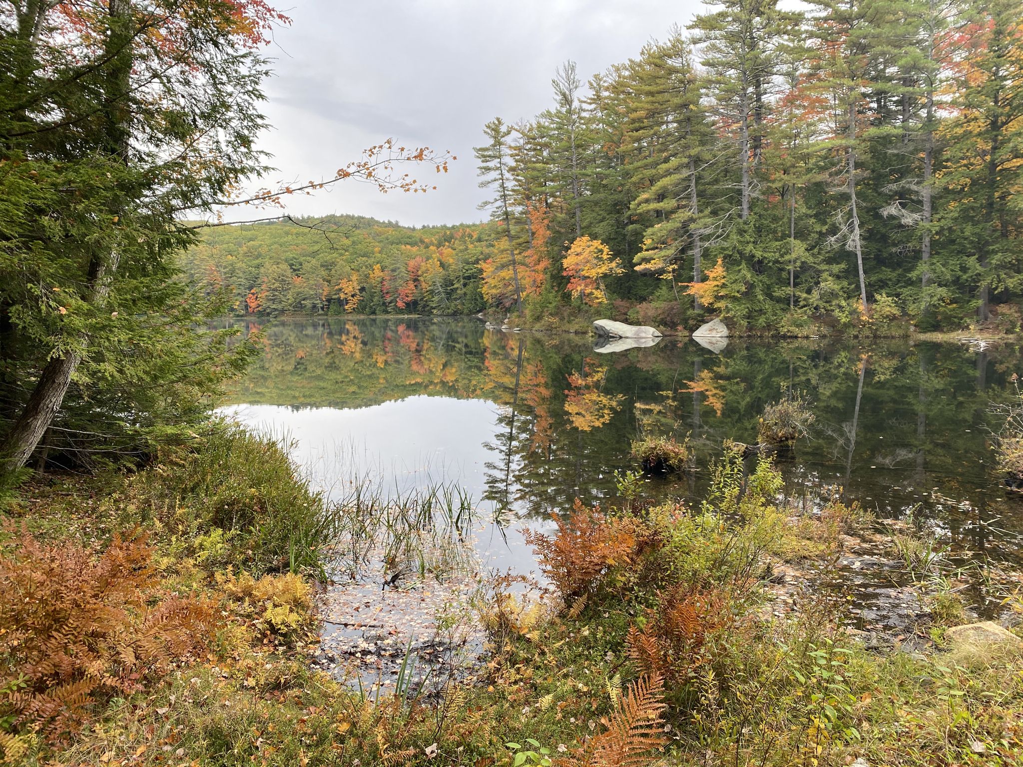 Lakeside view with colorful autumn foliage reflecting in the calm water under a cloudy sky. - Goose Pond - nice view of the lake – Goose Pond loop from Greater Goose Pond Forest