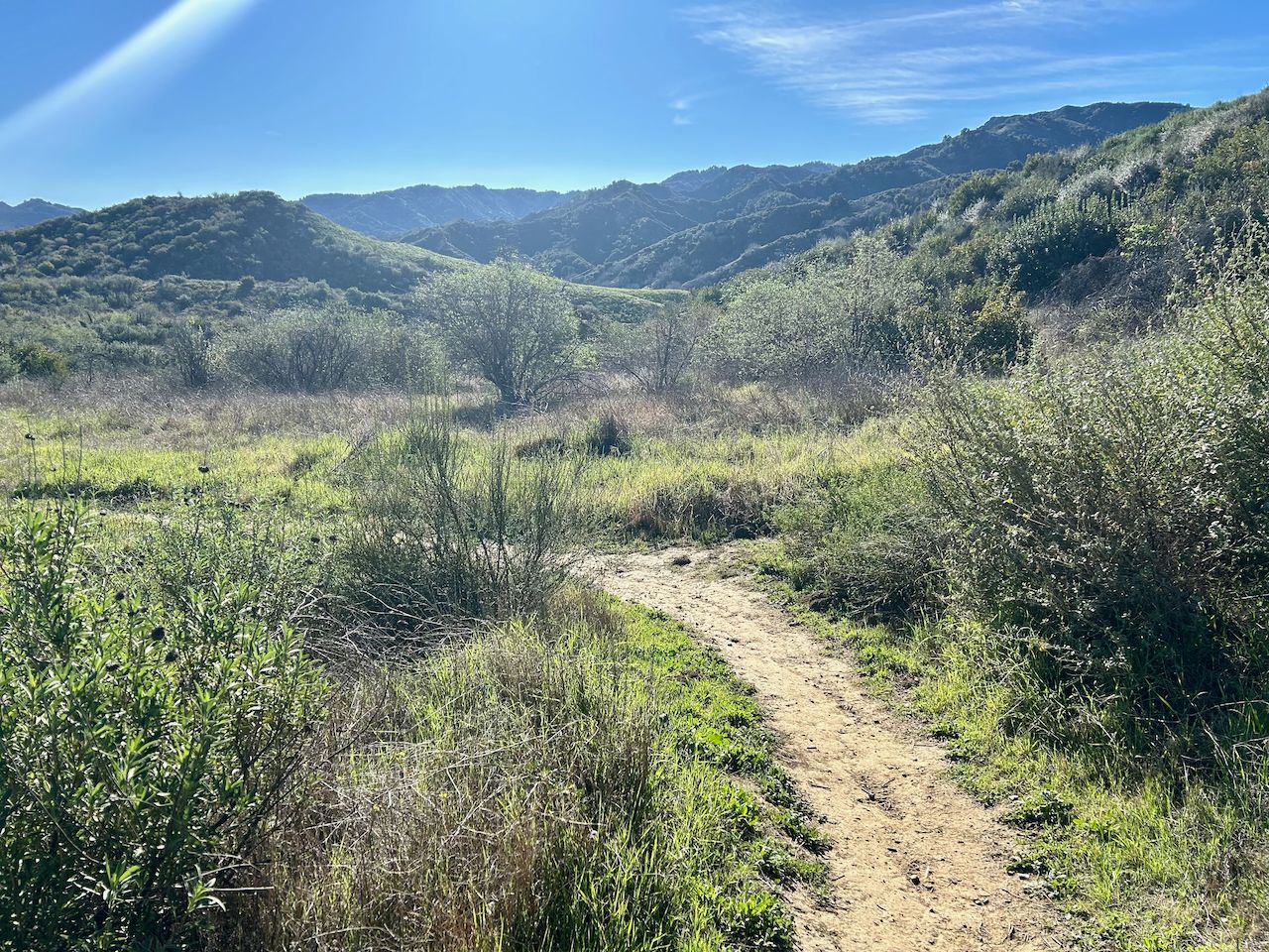 Winding dirt path through a grassy field with scattered bushes and distant hills. - Lyons Ranch and Taylor Loop Trail