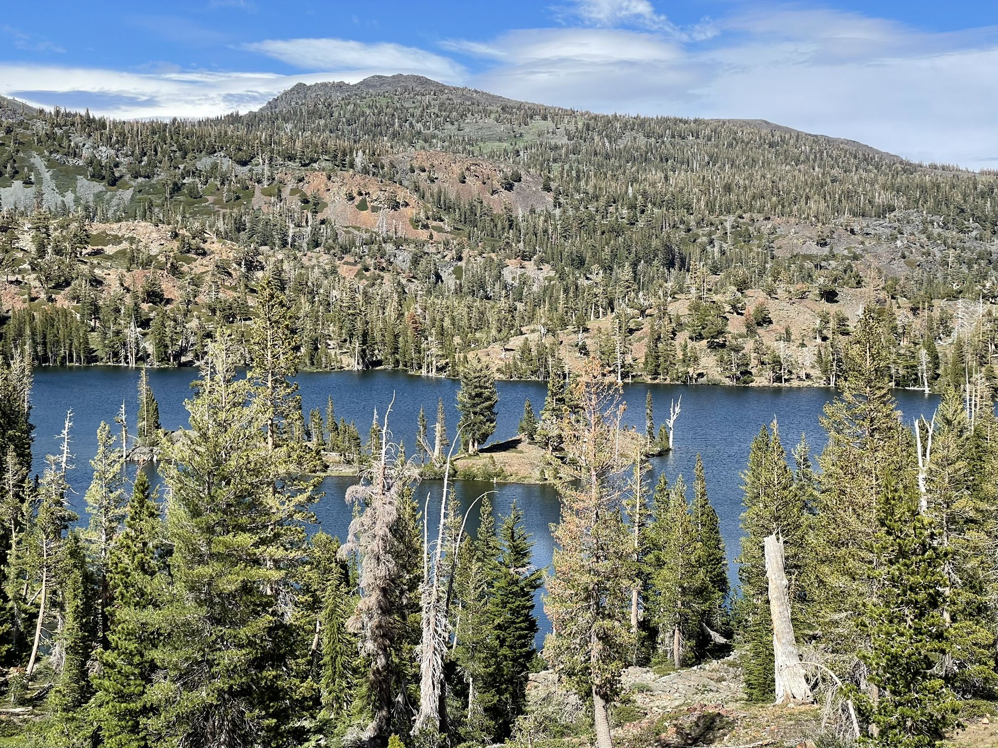 A blue lake surrounded by dense pine forests and mountains under a bright sky. - Glen Alpine Trail to Clyde Lake