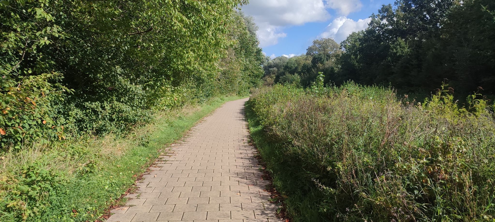 Bahntrassenradweg RAVeL L142
