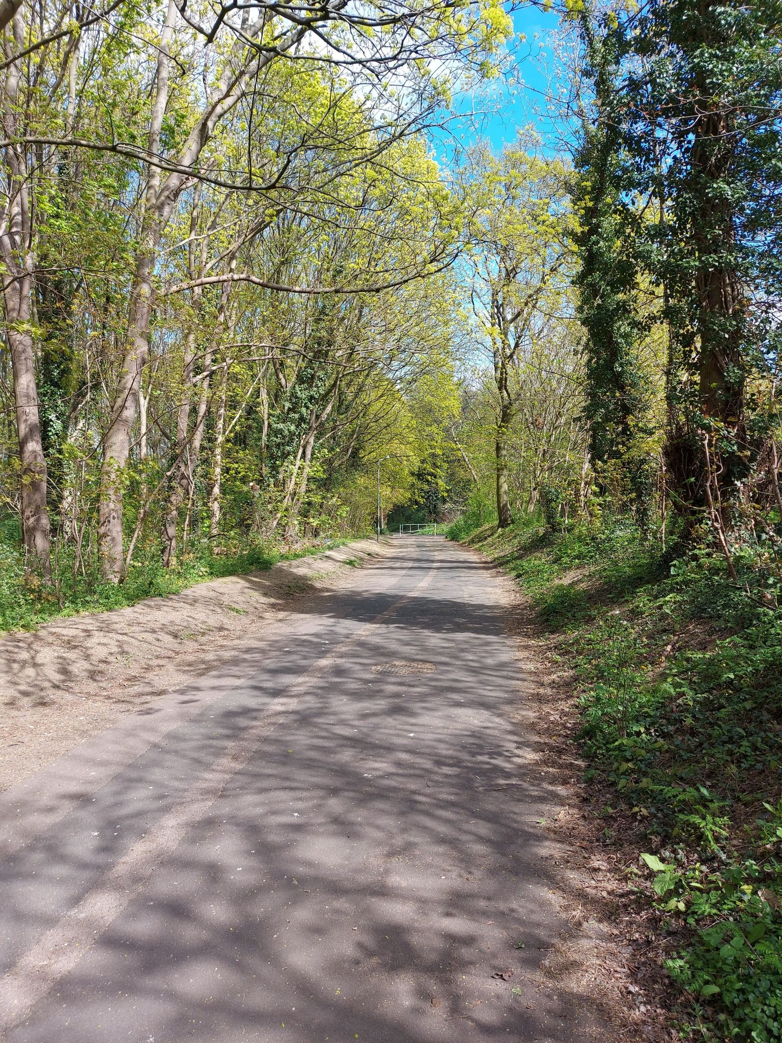 Nettlesworth Road  nice vehicle free path