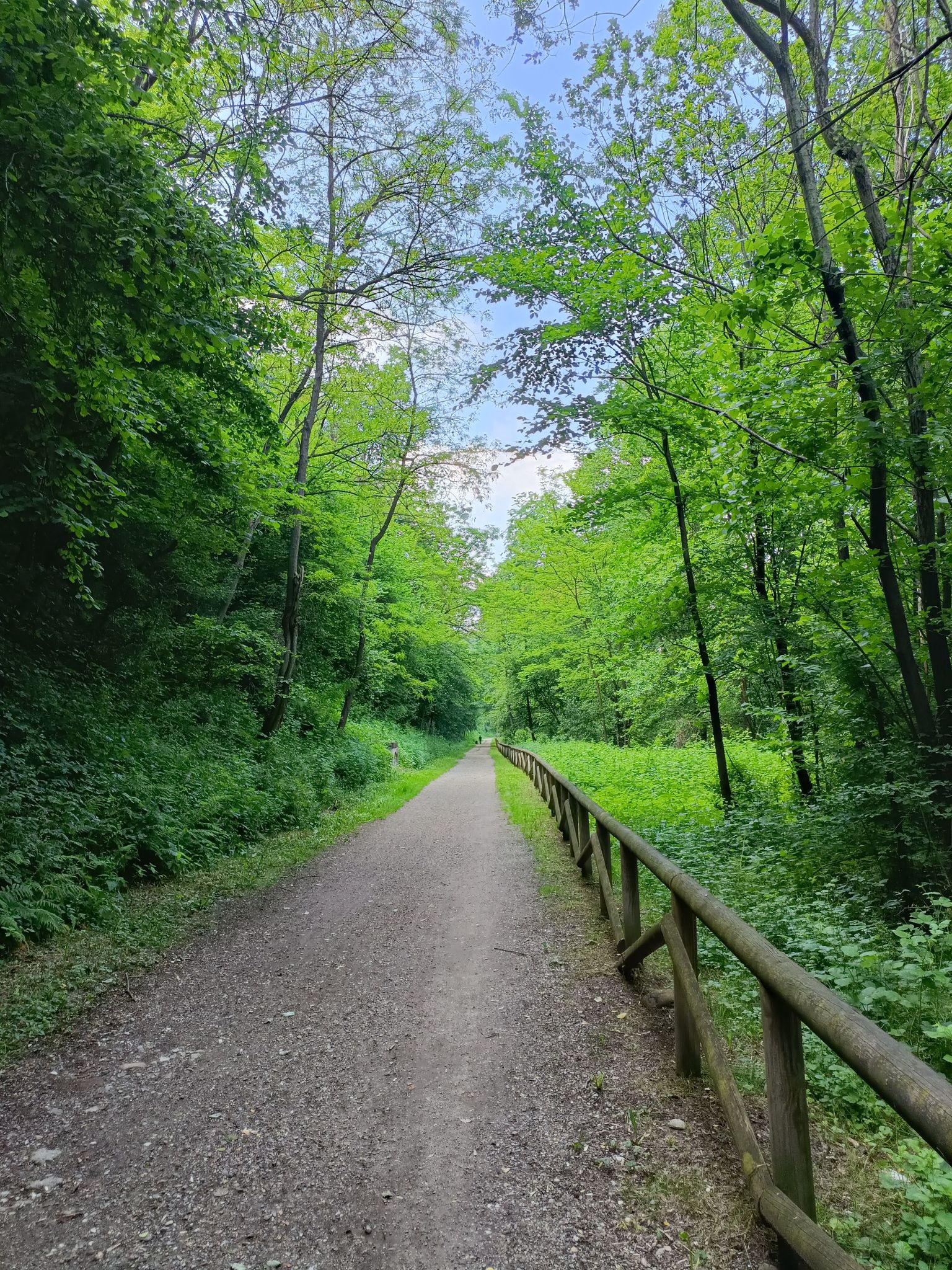 ciclabile dell'Olona