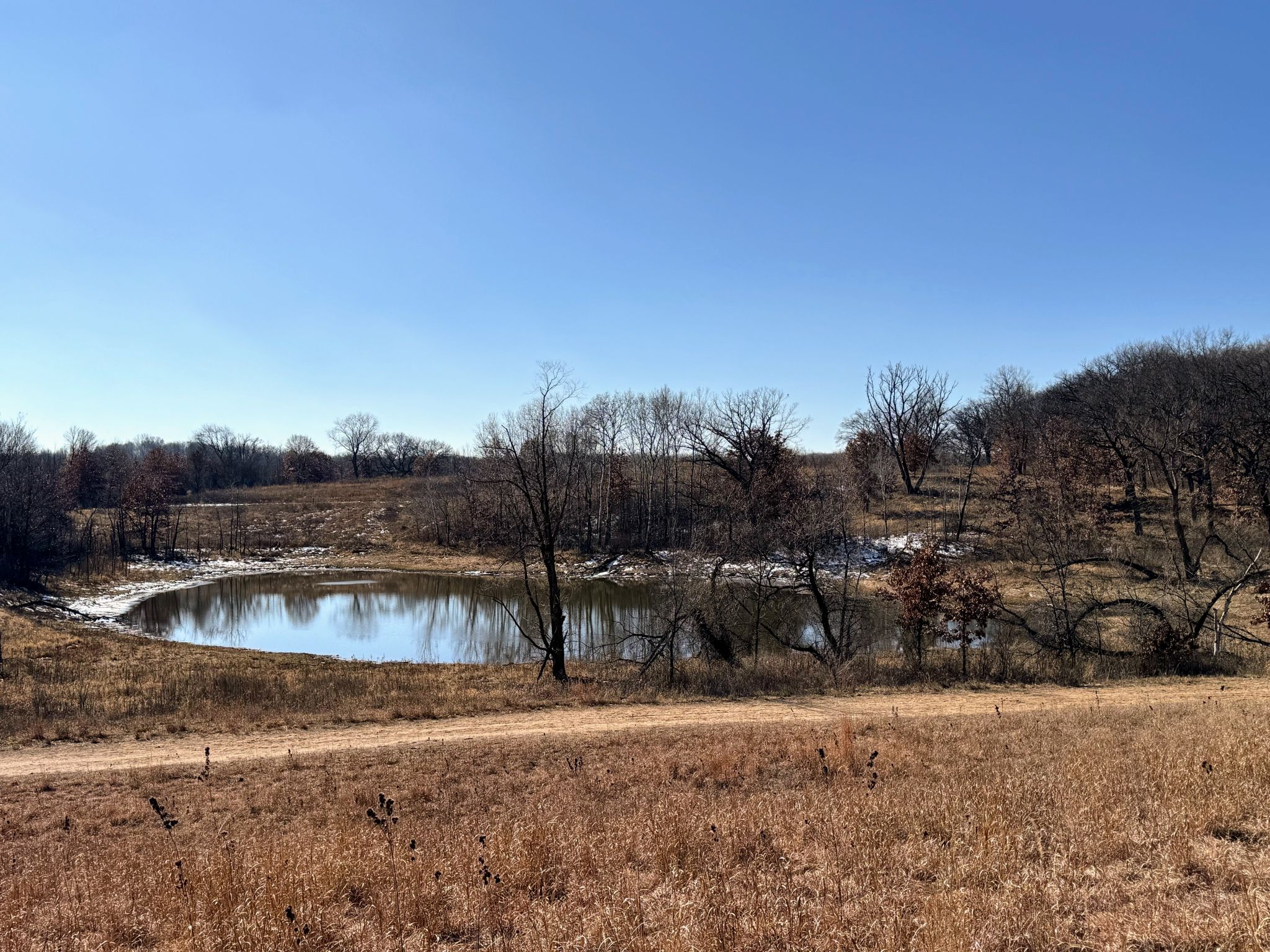Sunny view of a pond surrounded by dry grass and bare trees. - Voyageur Trek Loop