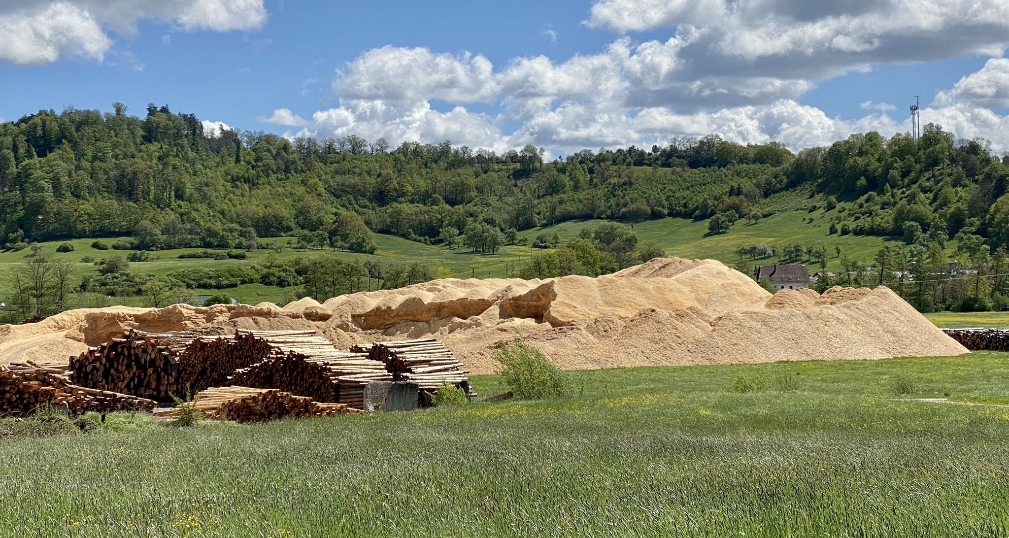 Sägemehlberge bei Oberrt
