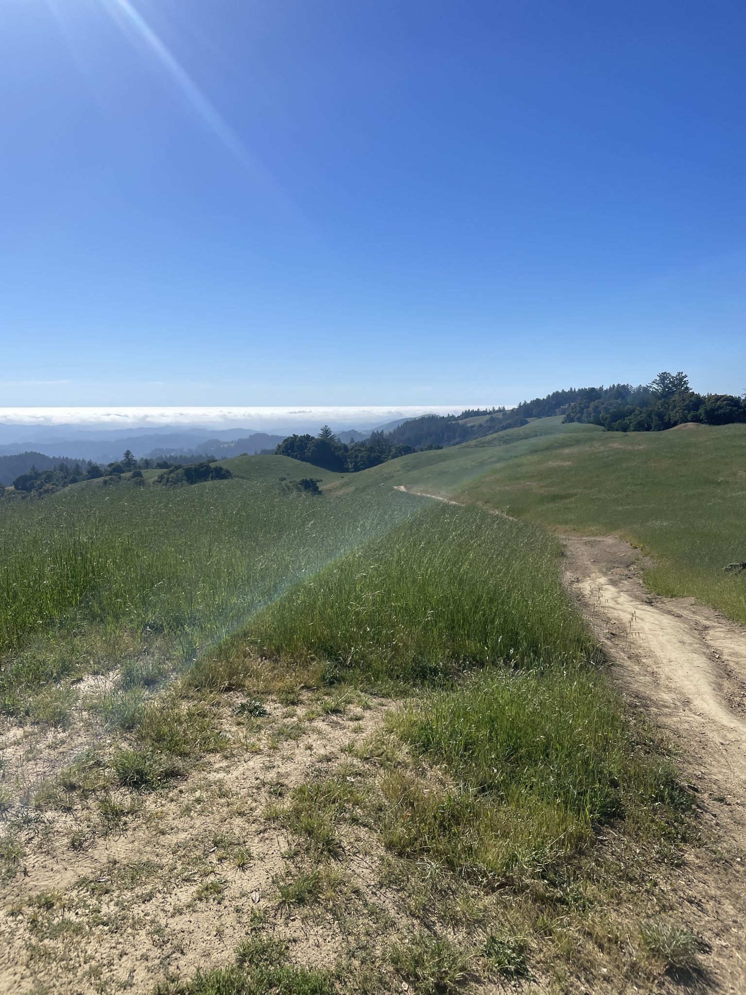 A dirt path on a sunny green hillside with distant hazy mountains. - Turtle Rock Viewpoint – Saratoga Gap loop from Monte Bello Open Space Preserve