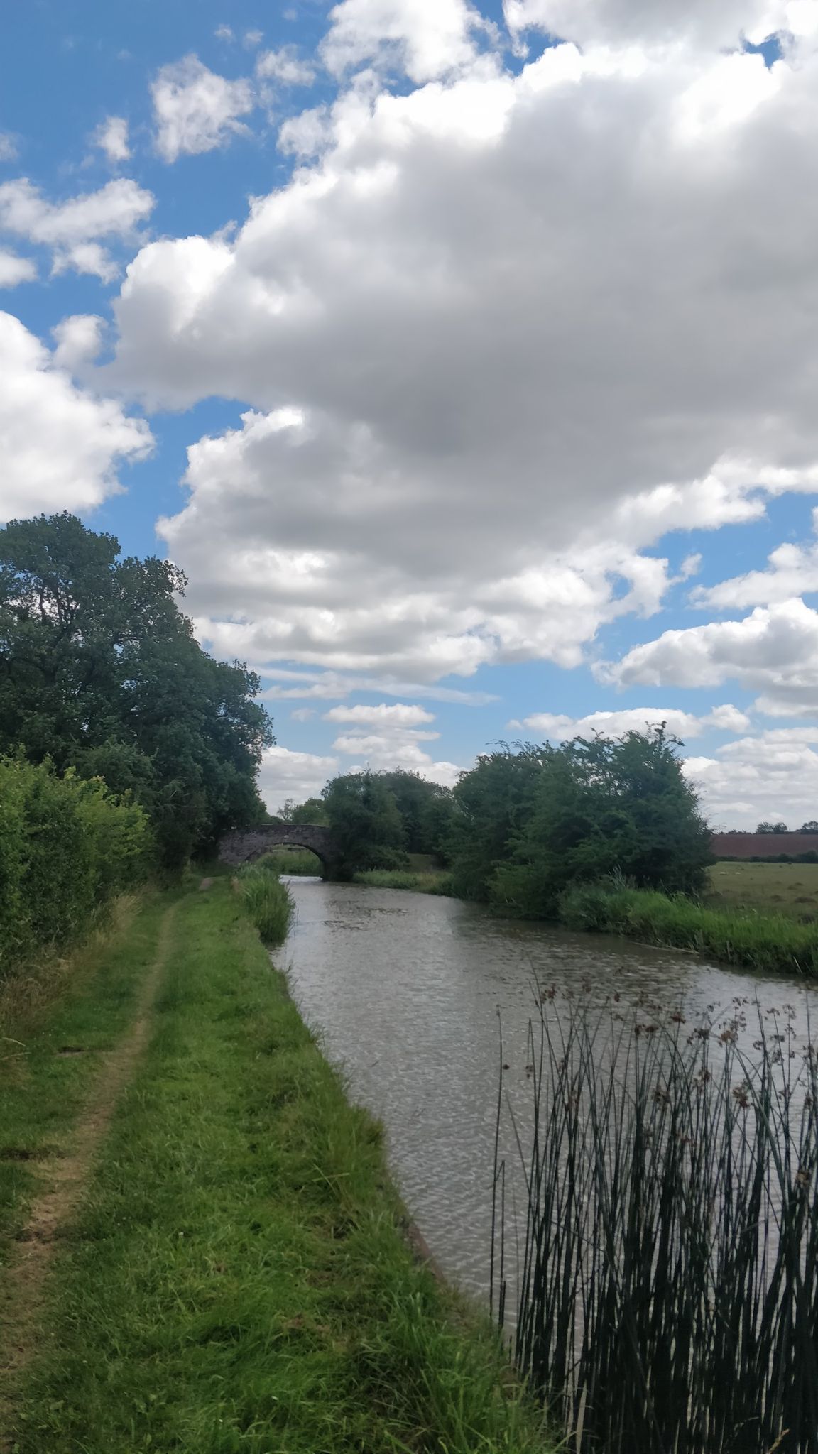Bridge 29