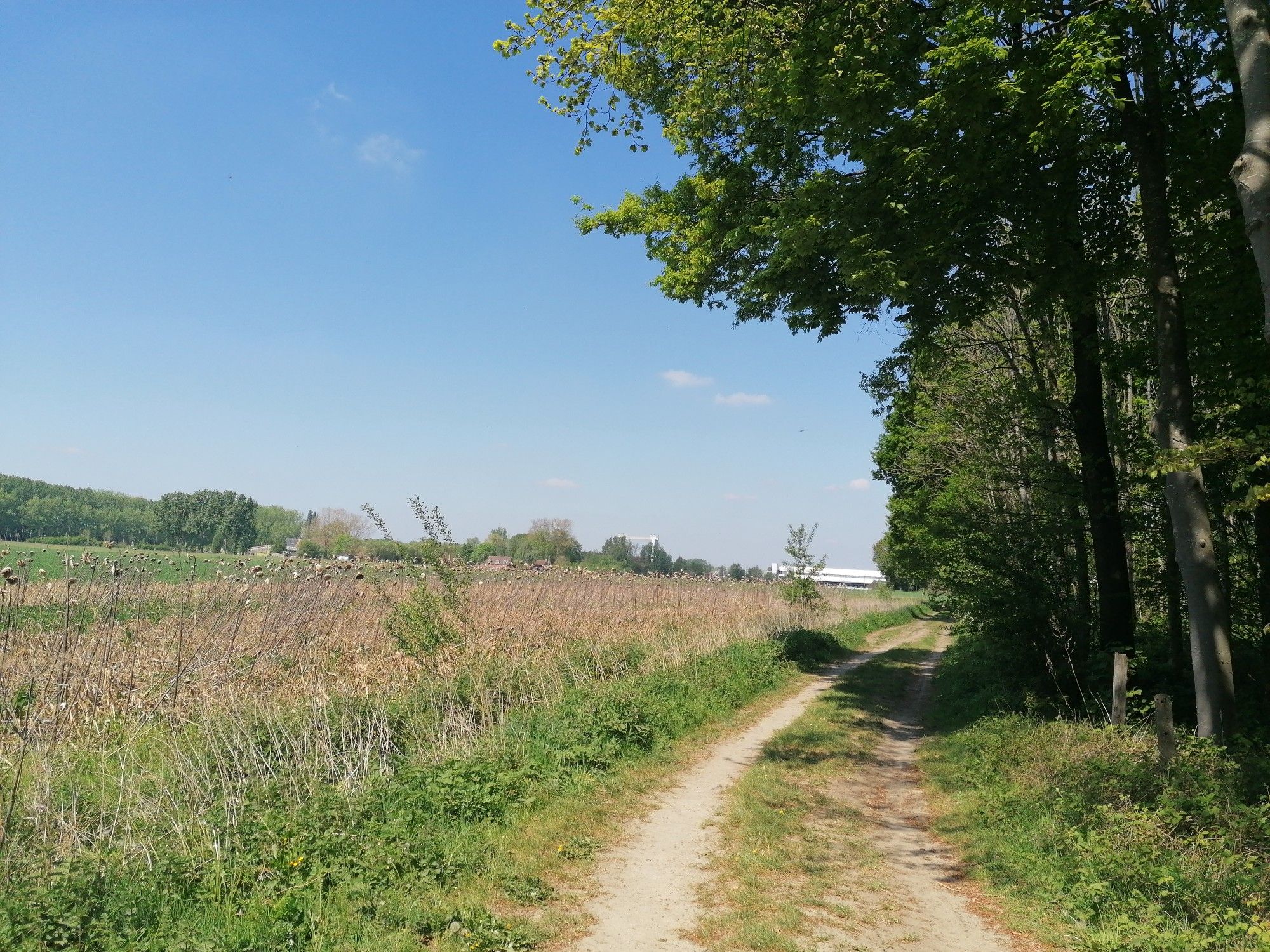 Uitzicht