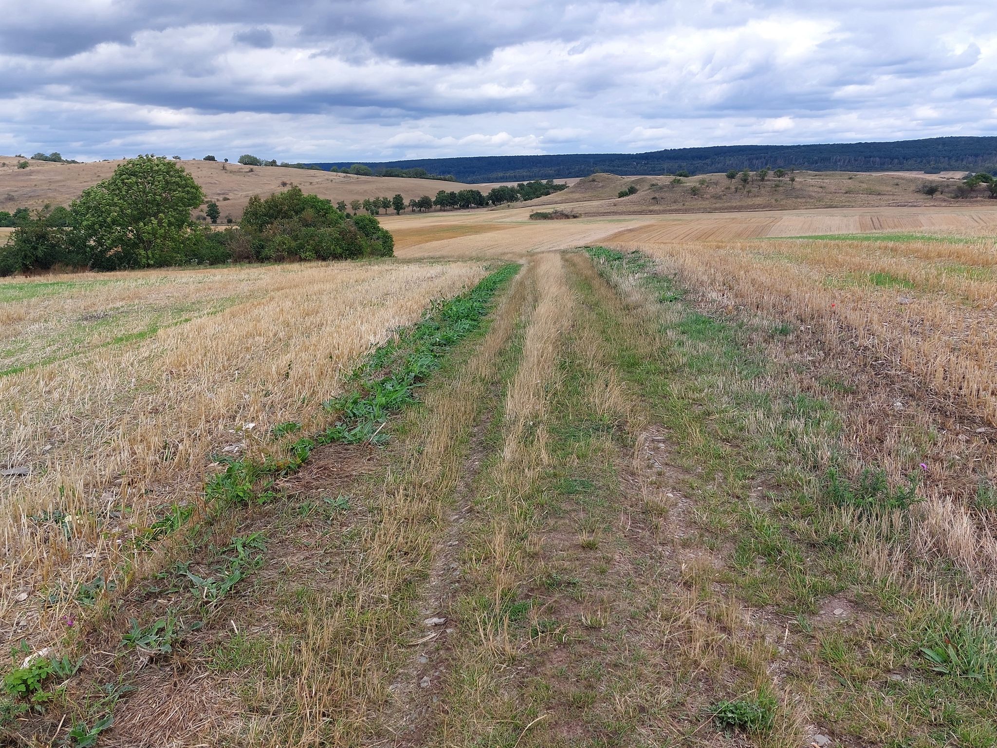 schöne Aussicht