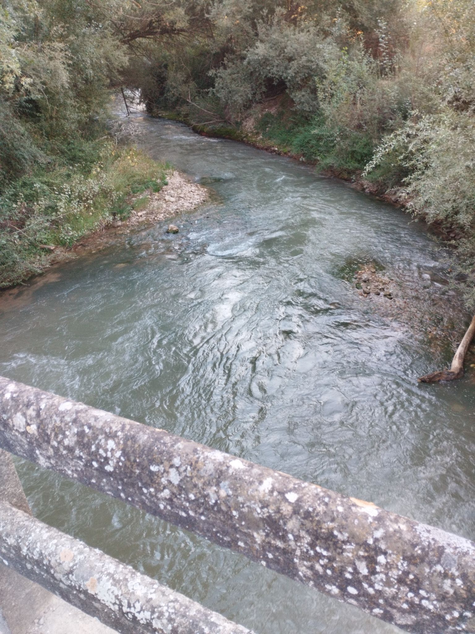 Río Betis