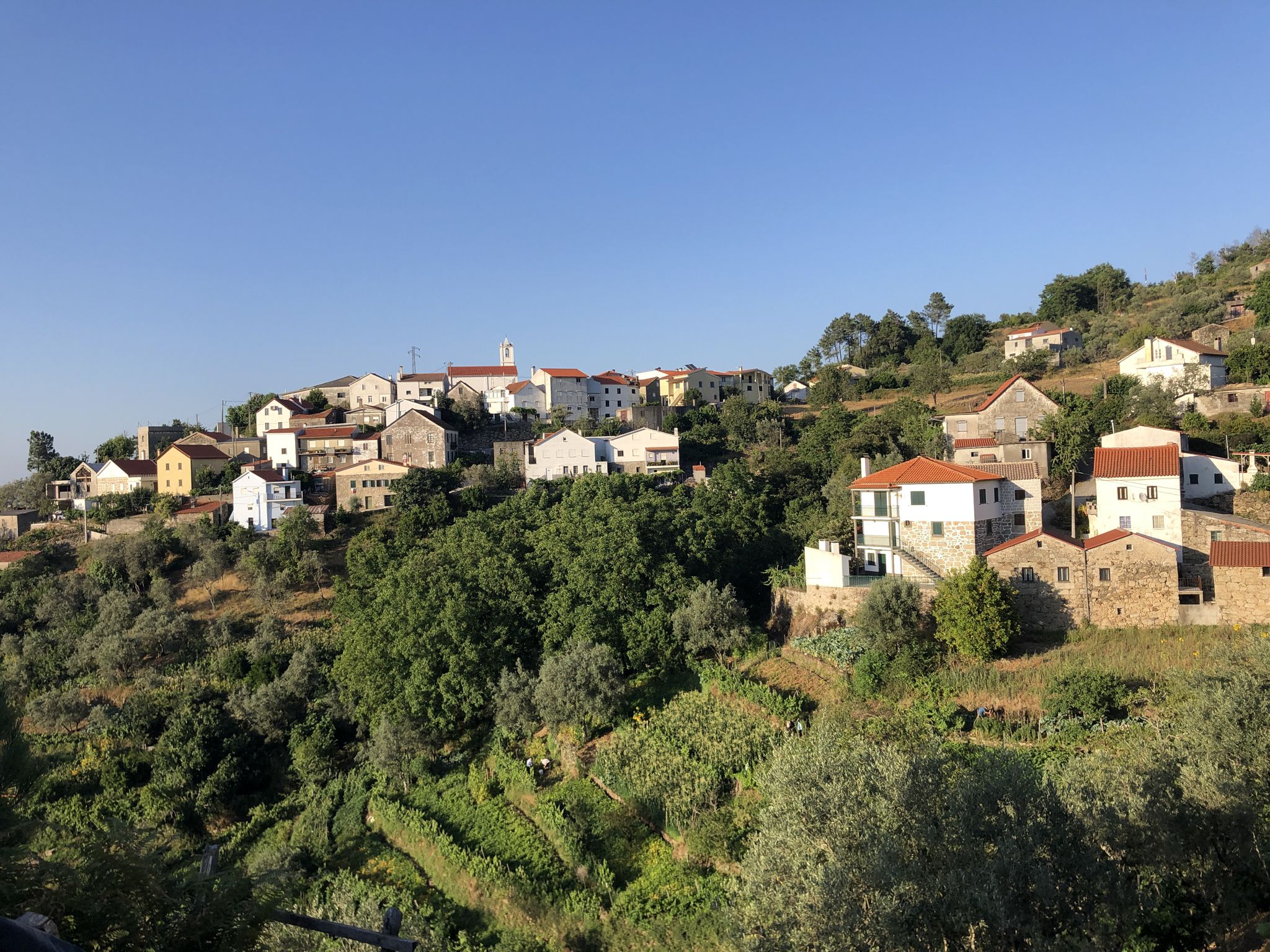 Cabeça da Eira