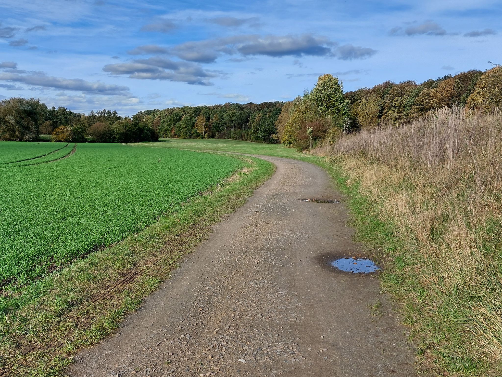 Weg nach Frohburg