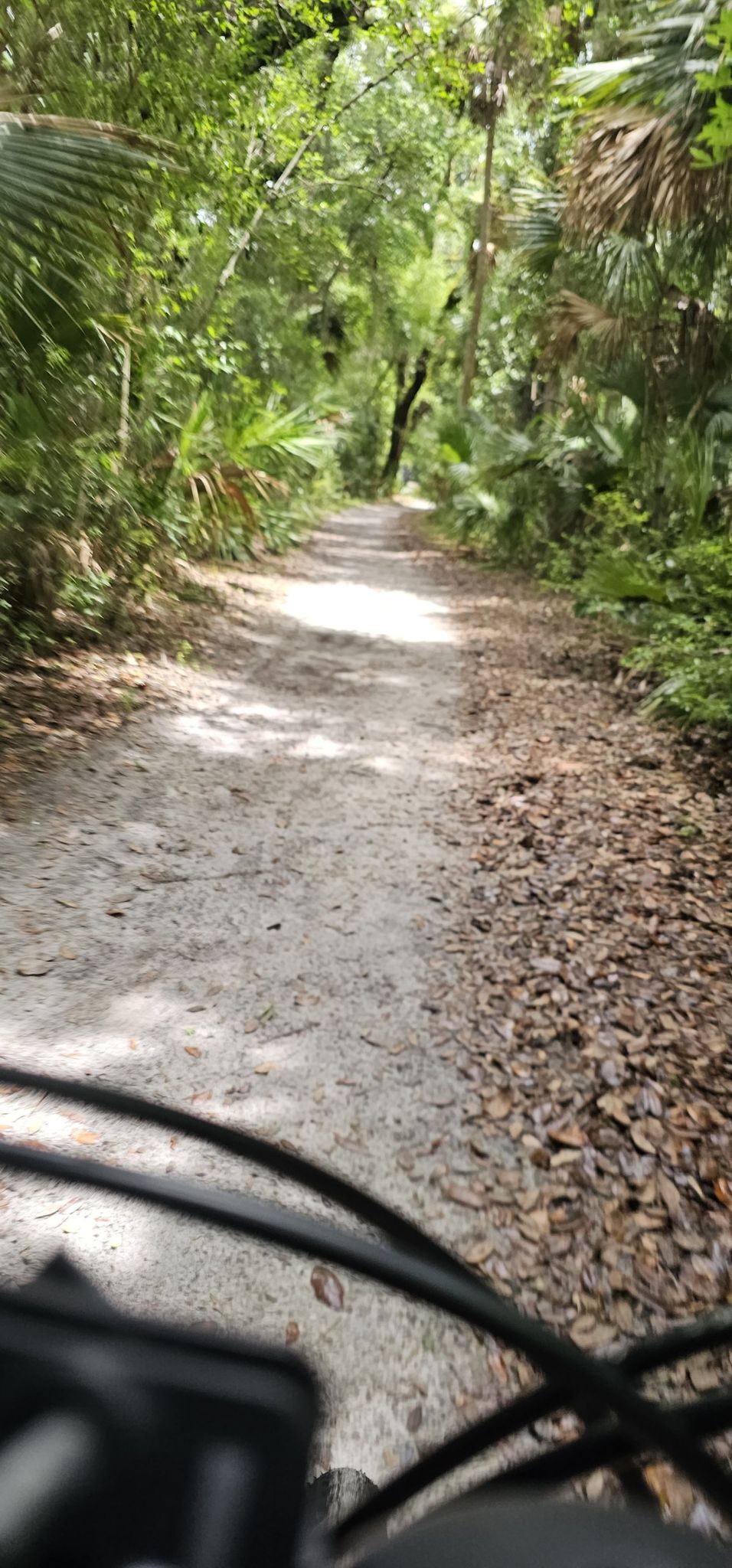 POV shot of cycling on a sun-dappled dirt path through a lush forest. - Jungle Road and Timucuan Loop