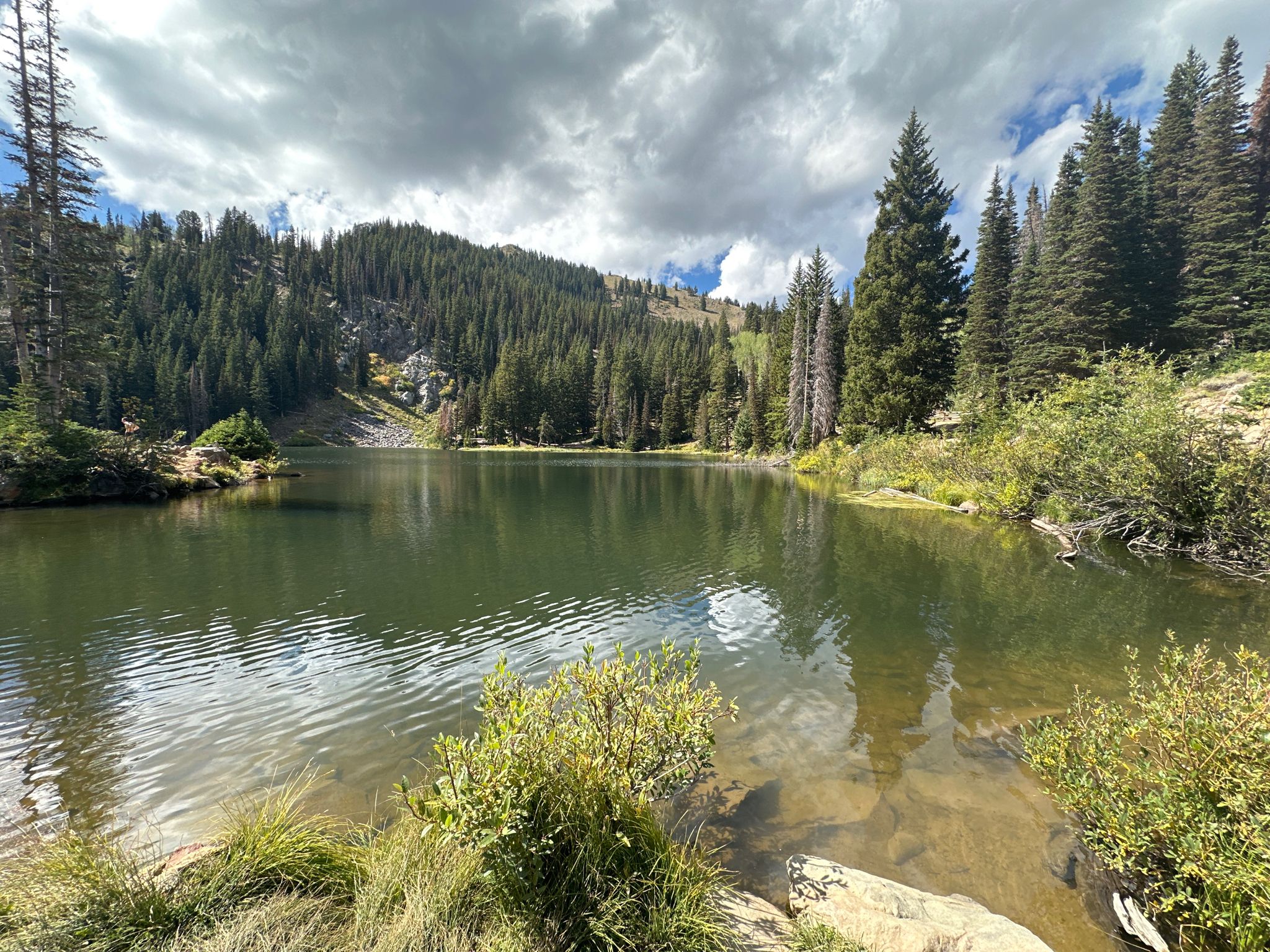 A serene mountain lake surrounded by dense pine forests under a cloudy sky. - Bloods Lake loop from Cloud Rim Camp Safety Exclusion Zone