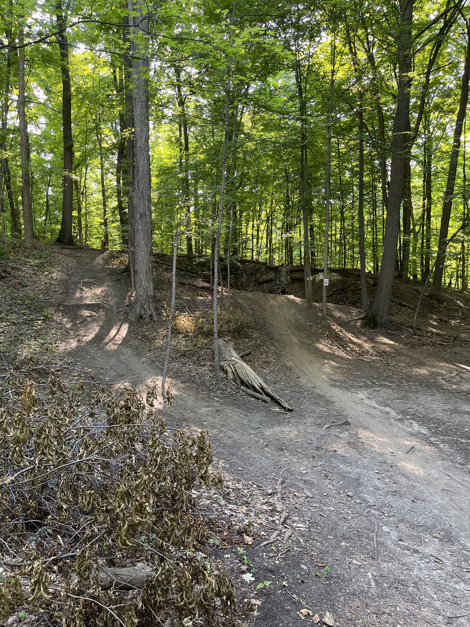 A dirt trail with banked turns winds uphill through a sun-dappled forest. - Walled Lake Beach – Novi Trail Stream loop from Walled Lake