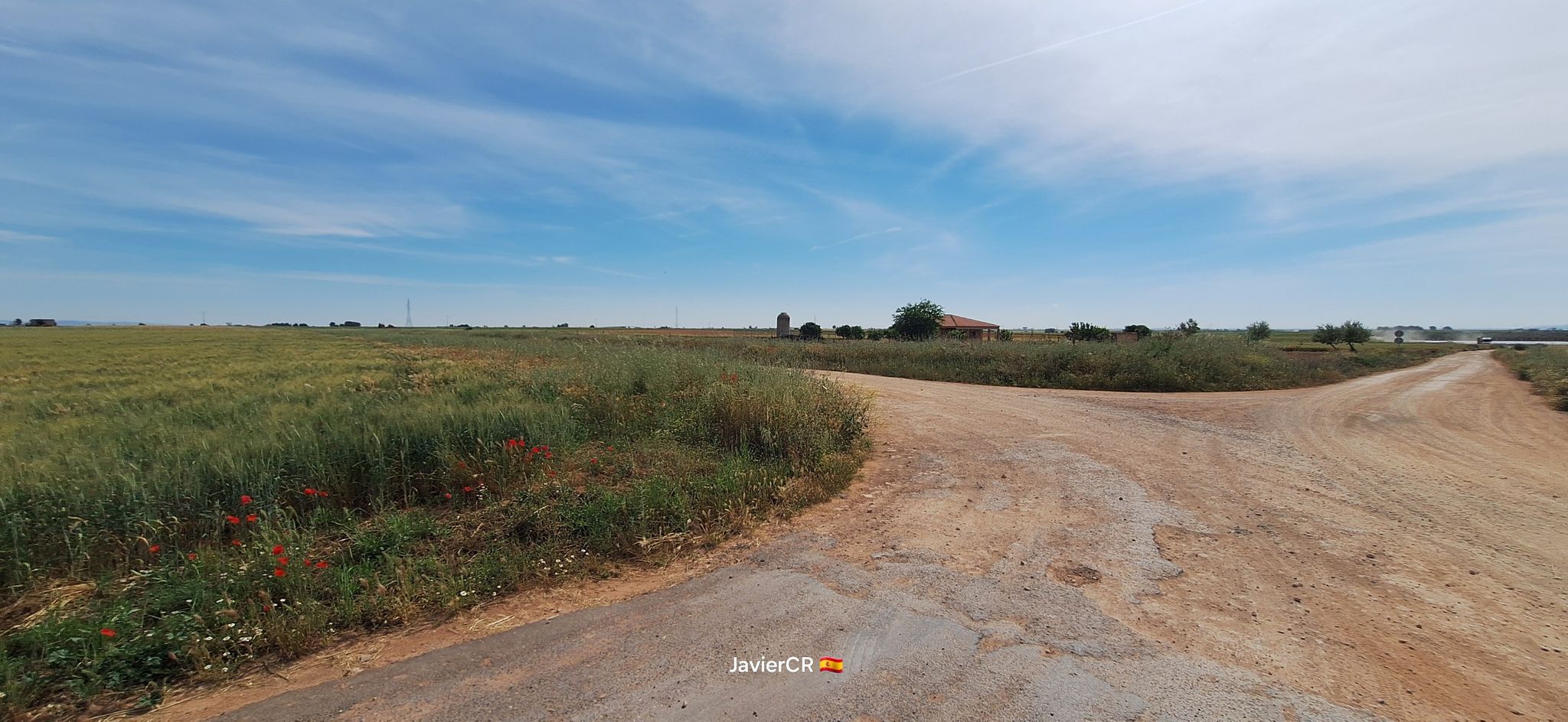 Cruce camino del Carrerón y Manzanares