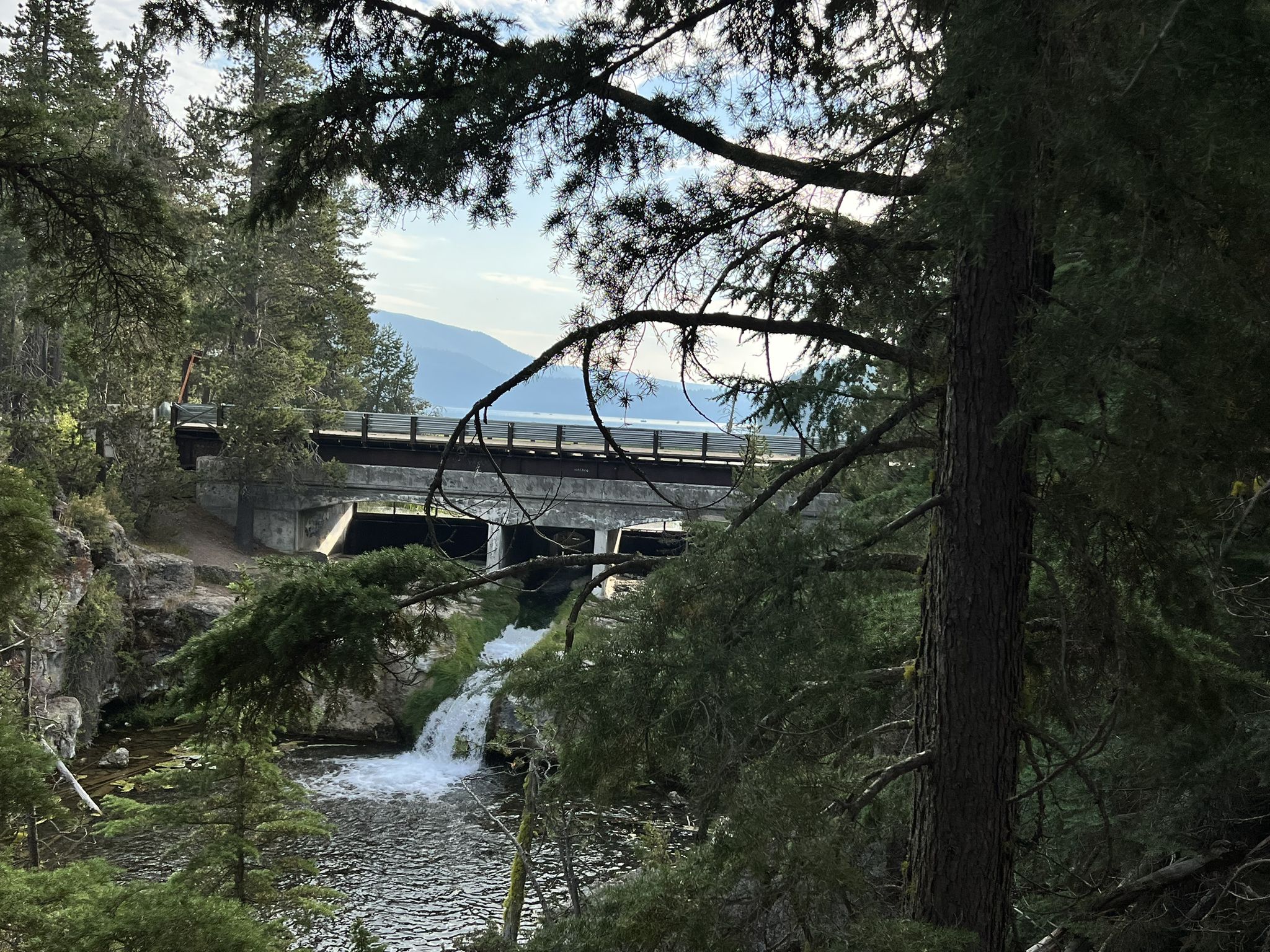 A river flows under a concrete bridge, with a small waterfall and dense trees. - Paulina Creek Falls Trail