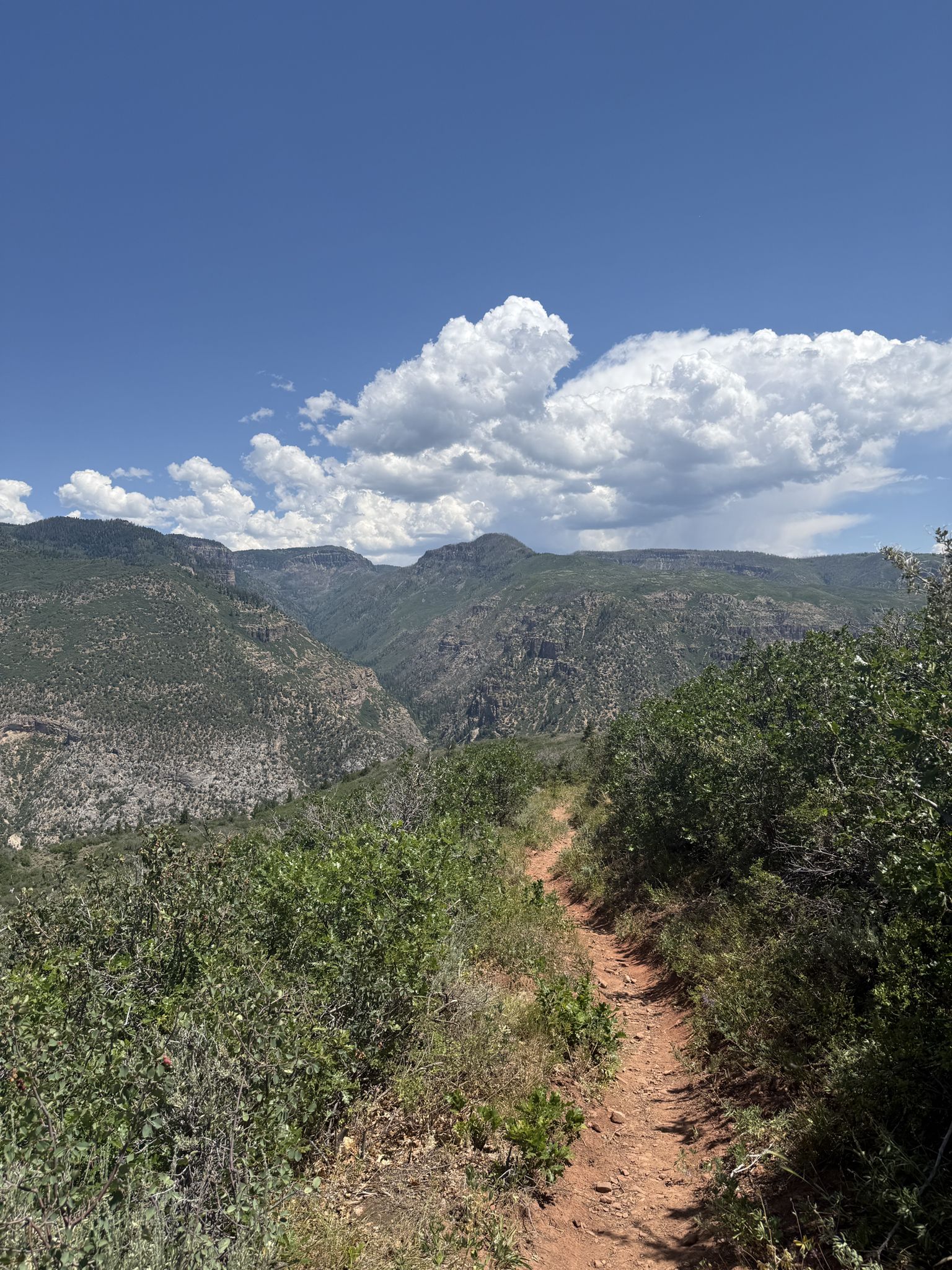 A winding dirt trail overlooks a vast green mountain valley under a sunny sky. - Glenwood Springs – Glenwood Springs Scout Trail loop from Glenwood Springs