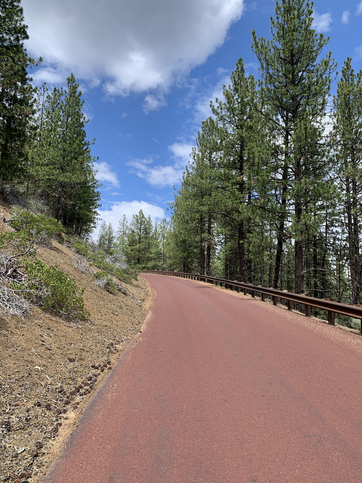 A red paved road winding through a pine forest under a blue sky. - Sun-Lava Trail