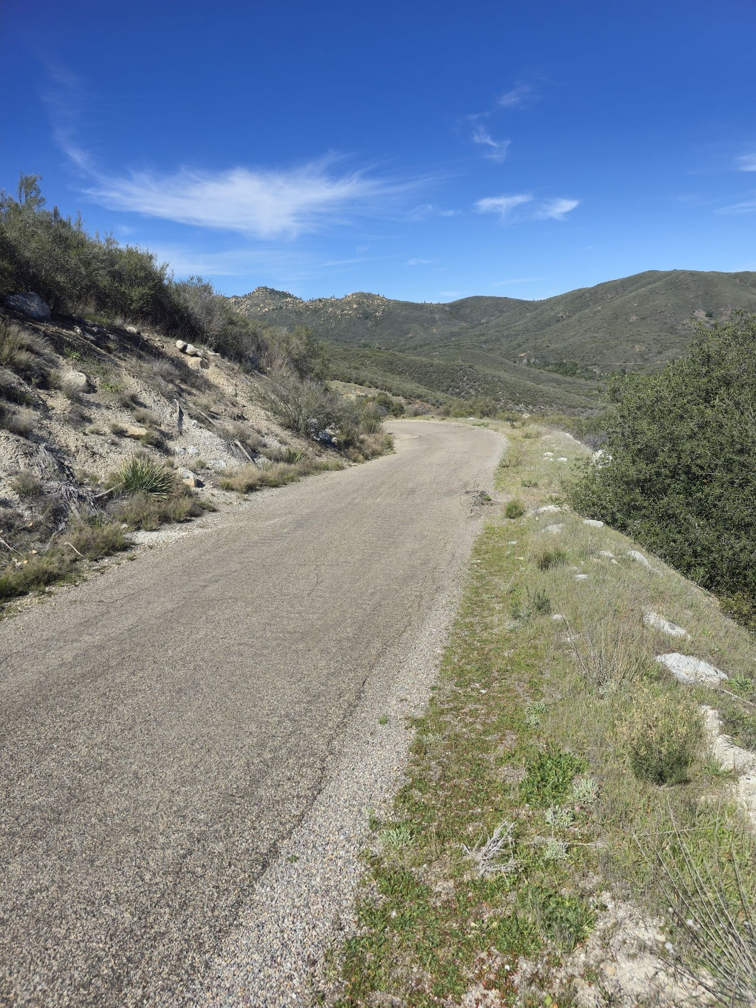 A winding gravel road through sunny, brush-covered hills under a blue sky. - Wrangler Trail loop from Camp Morena