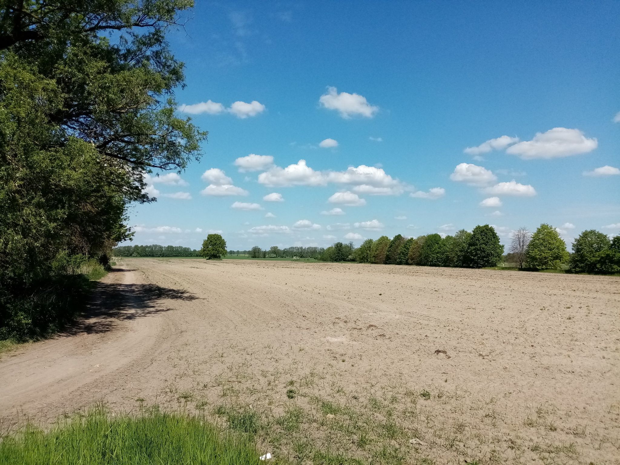 Bei Darritz