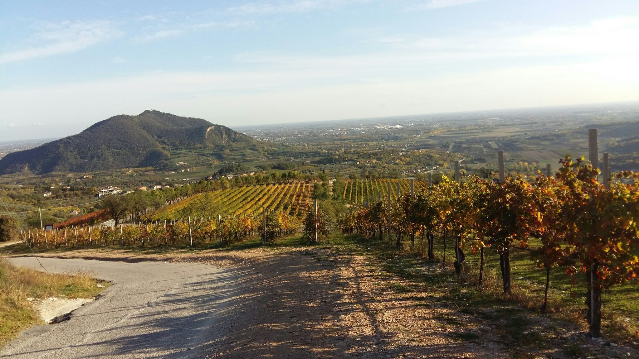 Monte venda