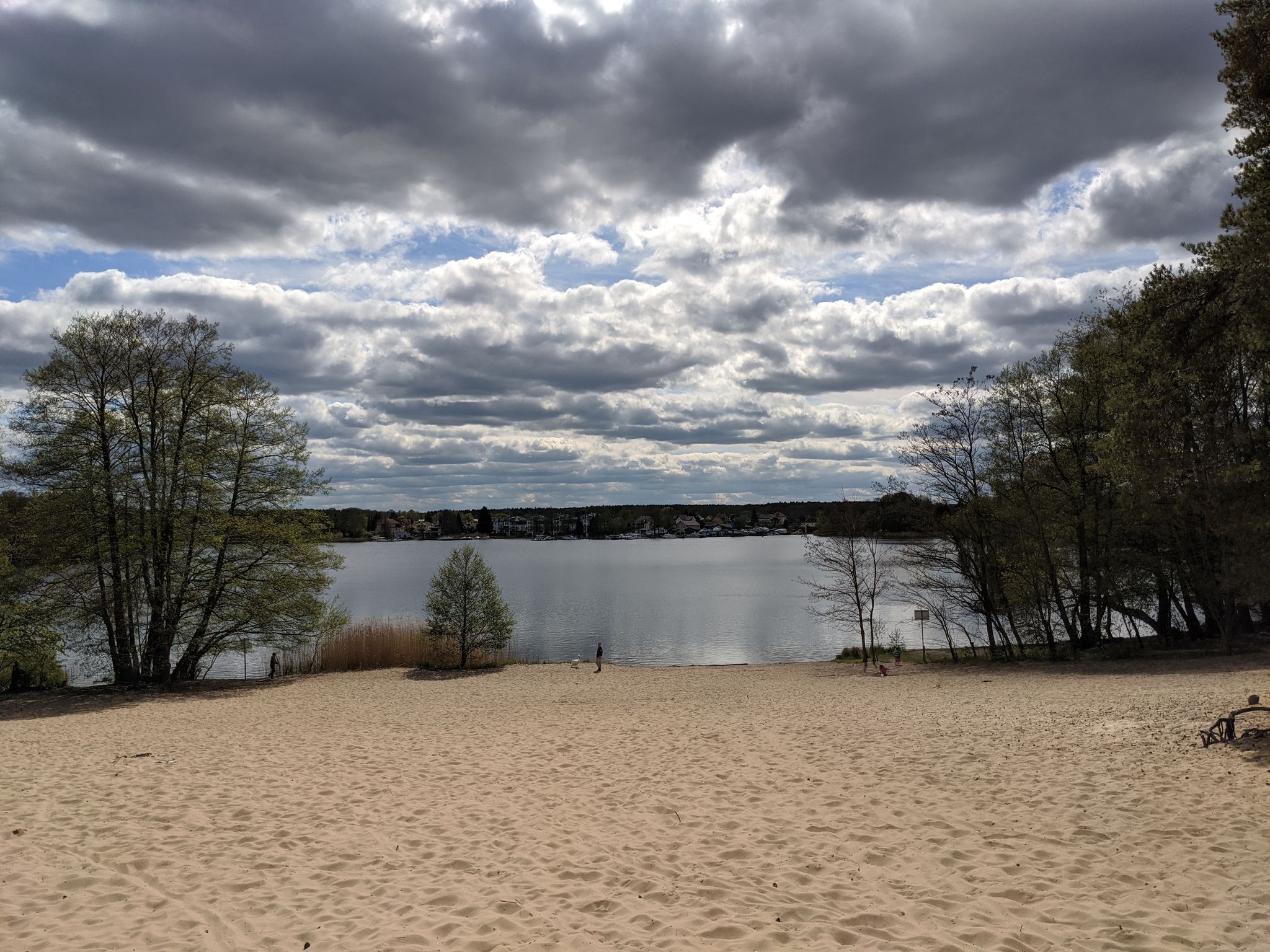 Badestrand am Nordufer des Werlsees