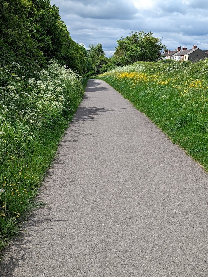 Ripley Greenway