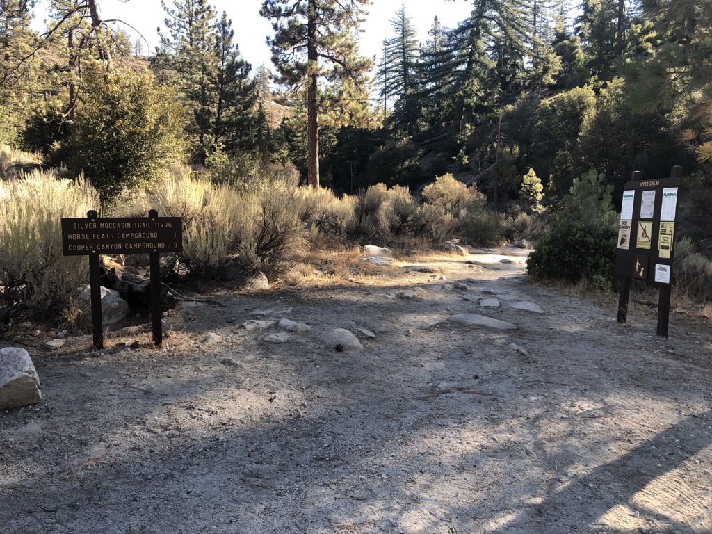 Two wooden signs mark a dirt trailhead, surrounded by dry brush and trees. - Silver Moccasin Trail Loop