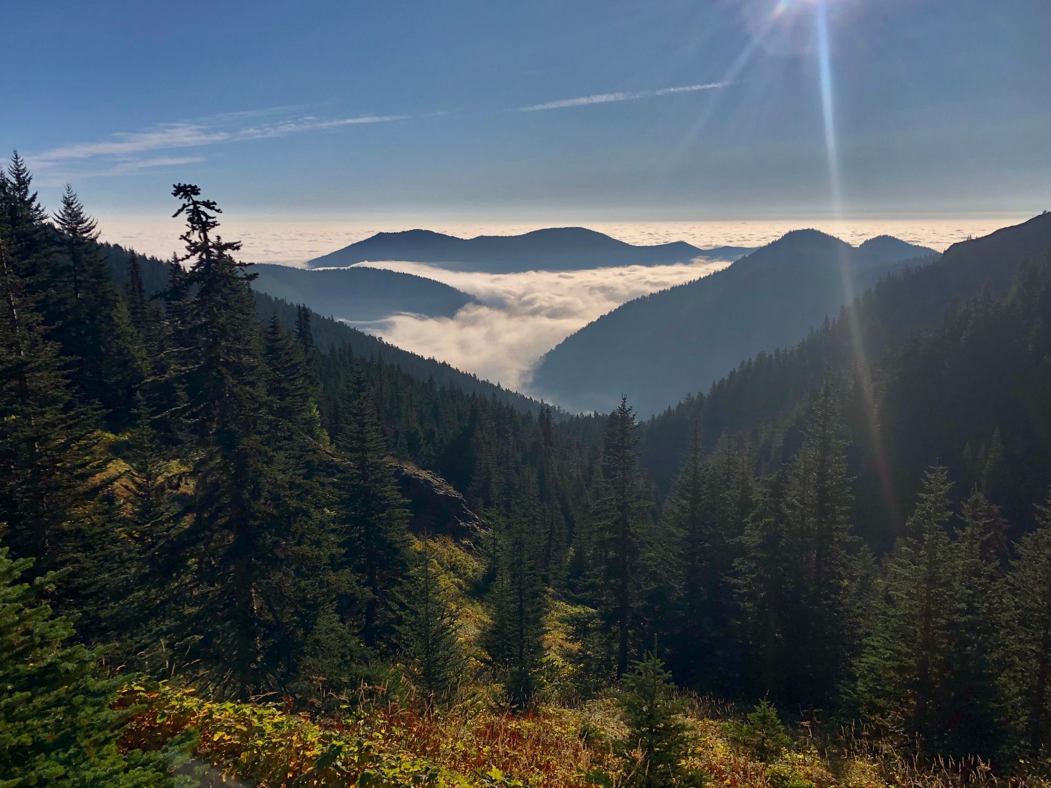Sun shines over forested mountain valleys filled with a sea of clouds. - Silver Lakes via Mount Townsend Trail