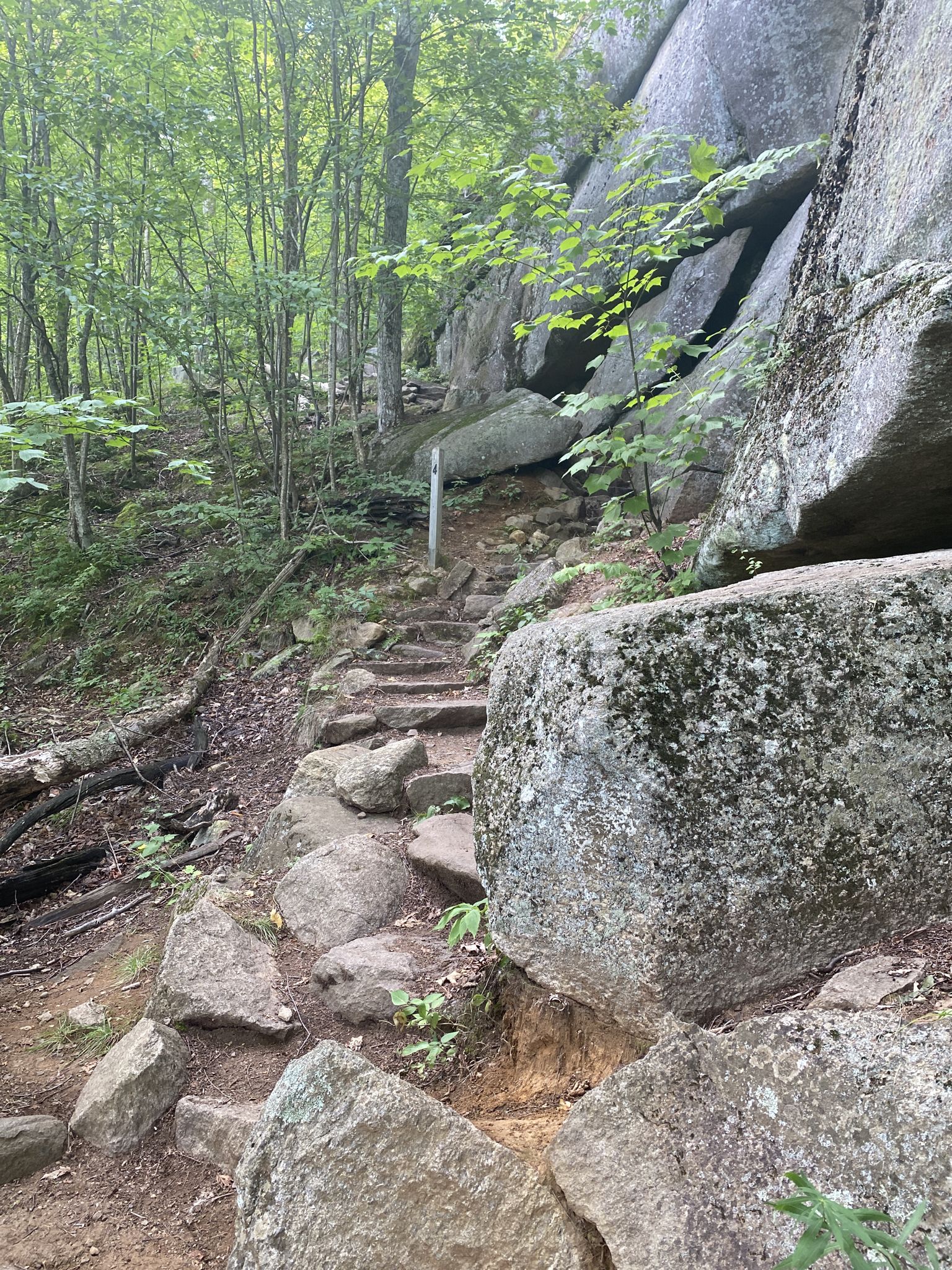 Stone steps ascend through a lush forest with massive rock formations. - Poke-O-Moonshine Ranger Trail