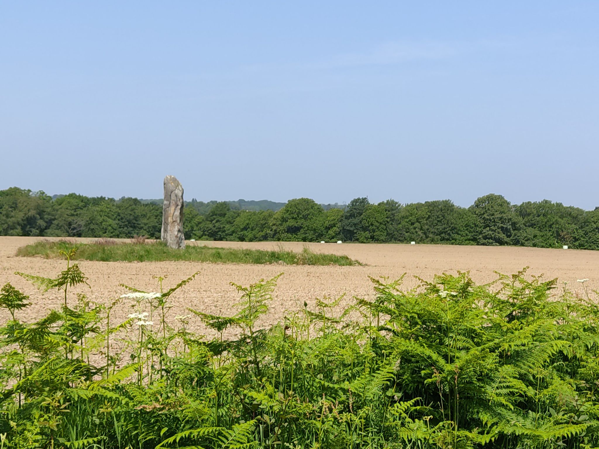 Menhir en plein champs