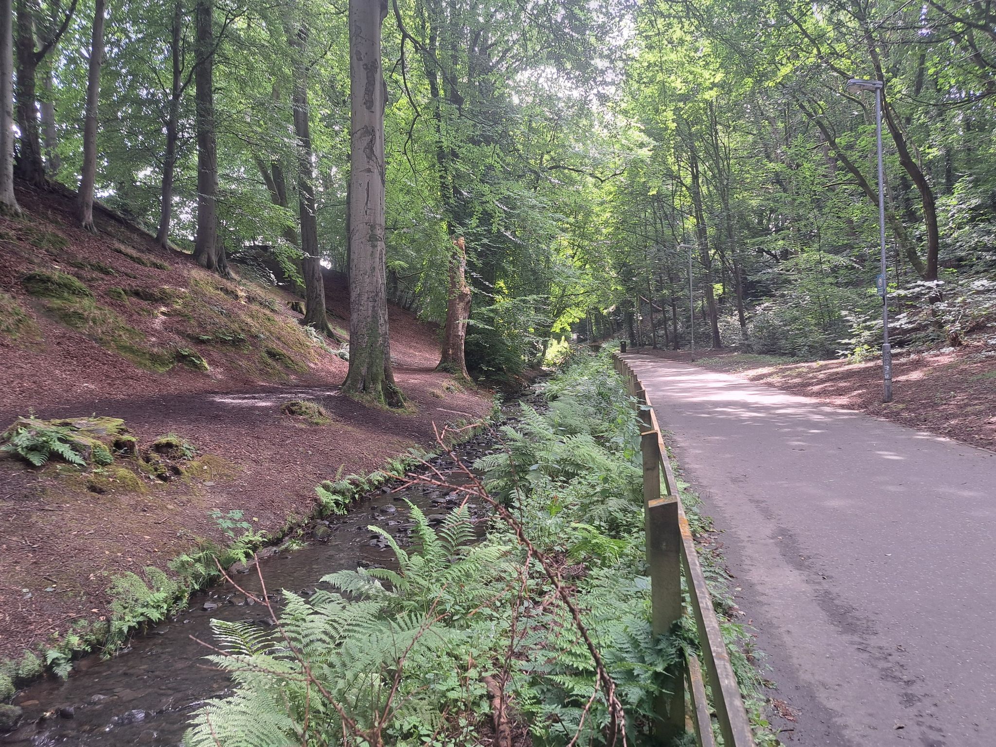 ruhiger Teil des Stadtparks