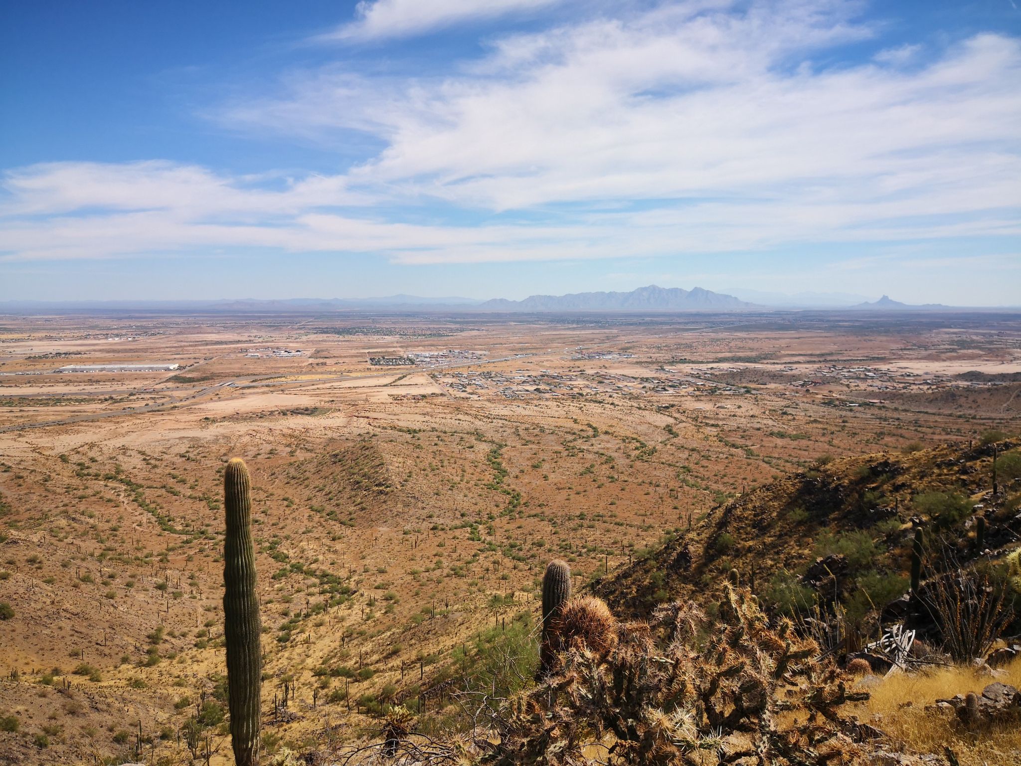 Wide desert vista with saguaro cactus, dry plains, and distant mountains. - Bolt Trail