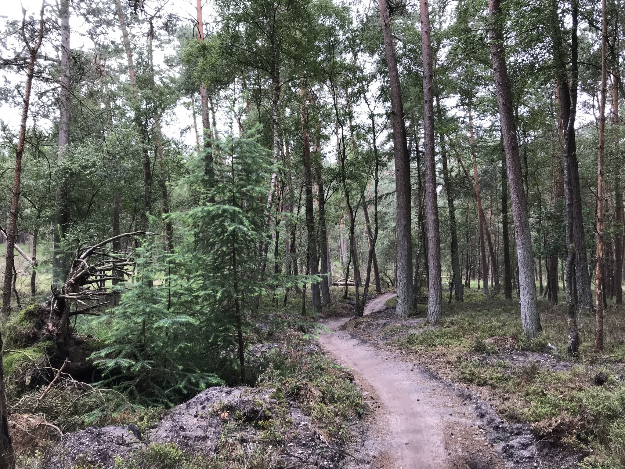 bisschen MTB 