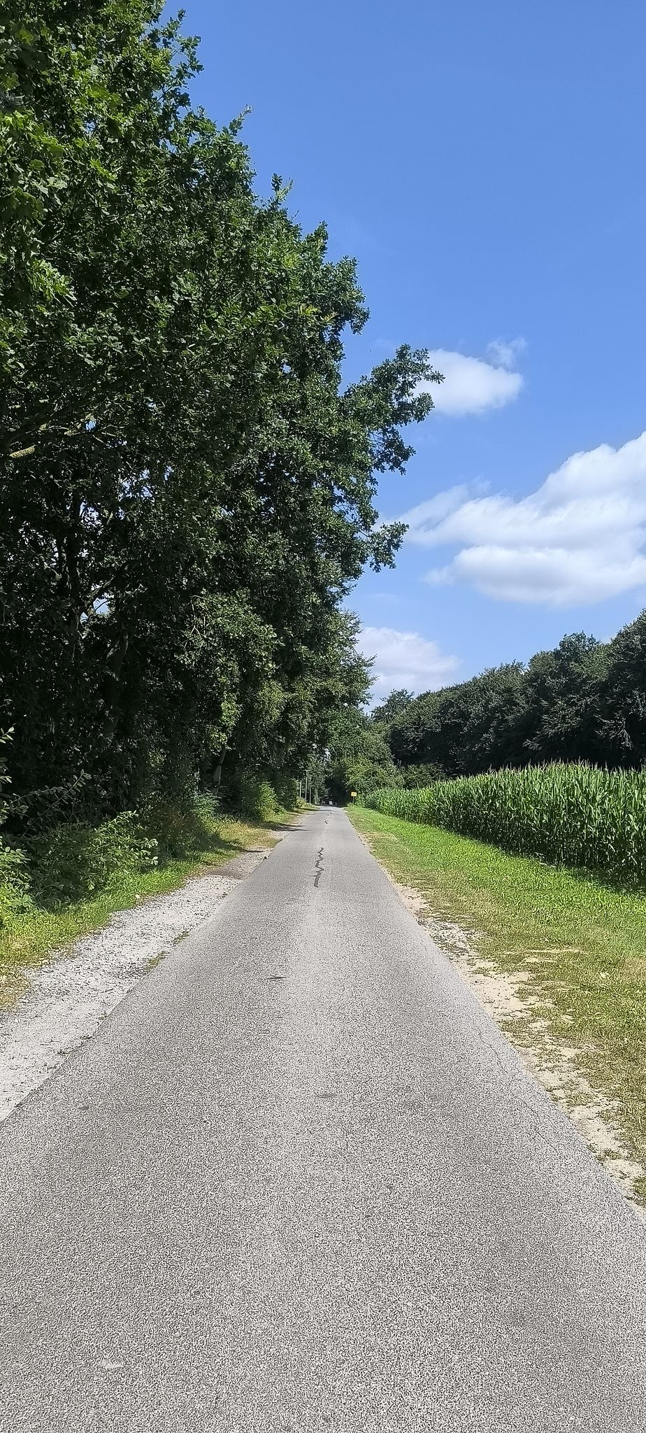 Von Hedendorf nach 
