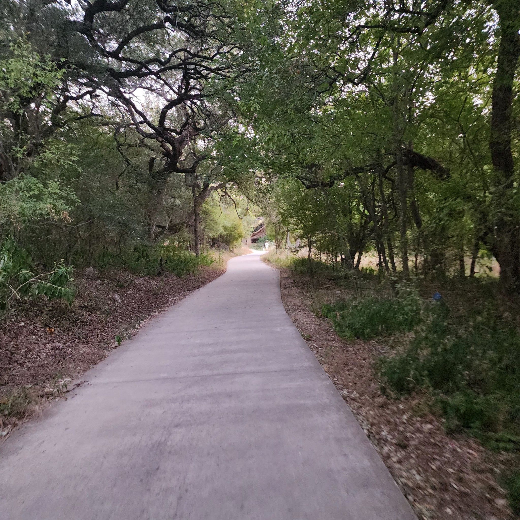 Paved path winding through a tunnel of green trees on a bright day. - Upper Drury Trail loop from Six Flags Fiesta Texas