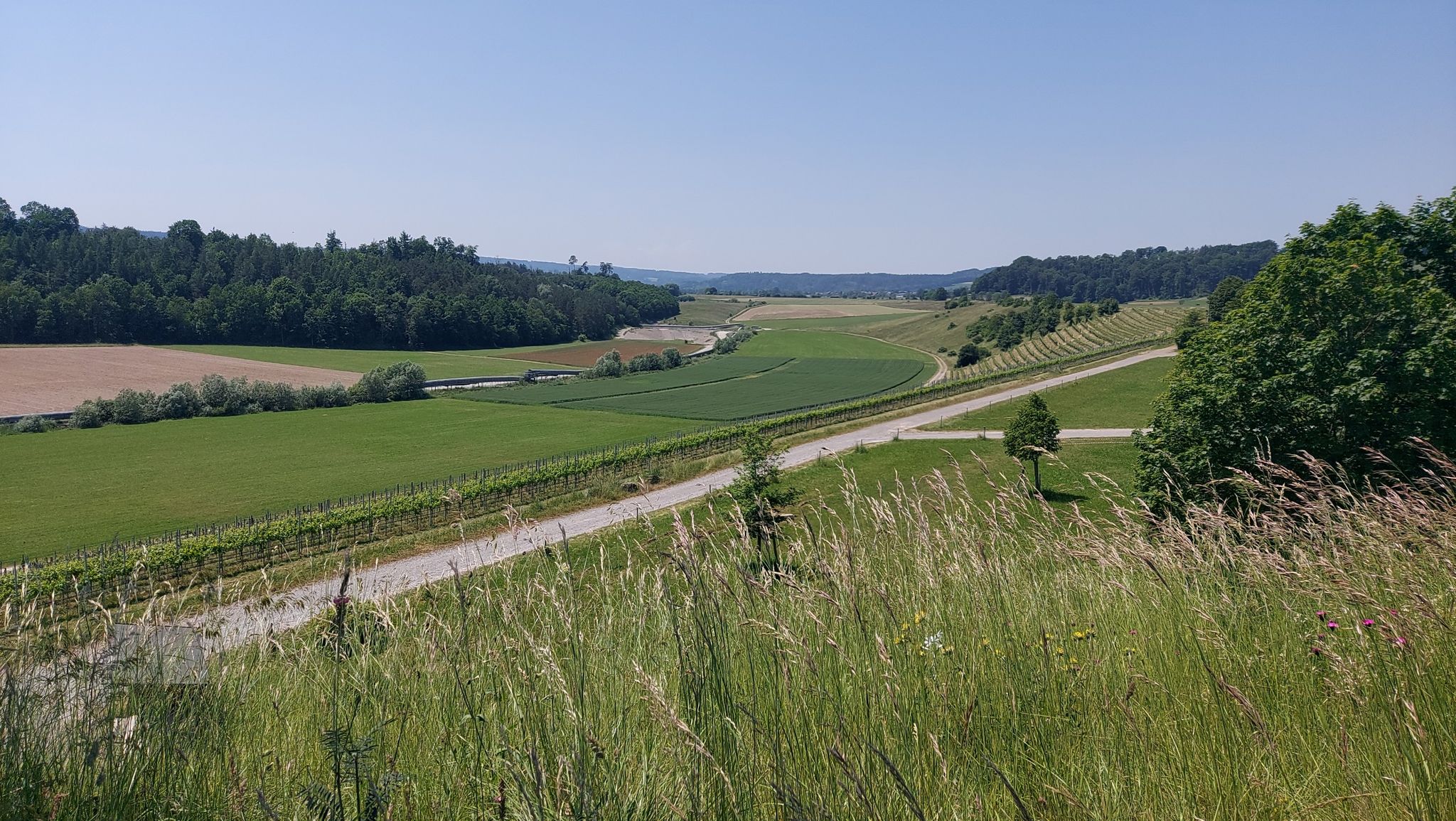 Aussicht vom Kiesabbau Hüntwangen