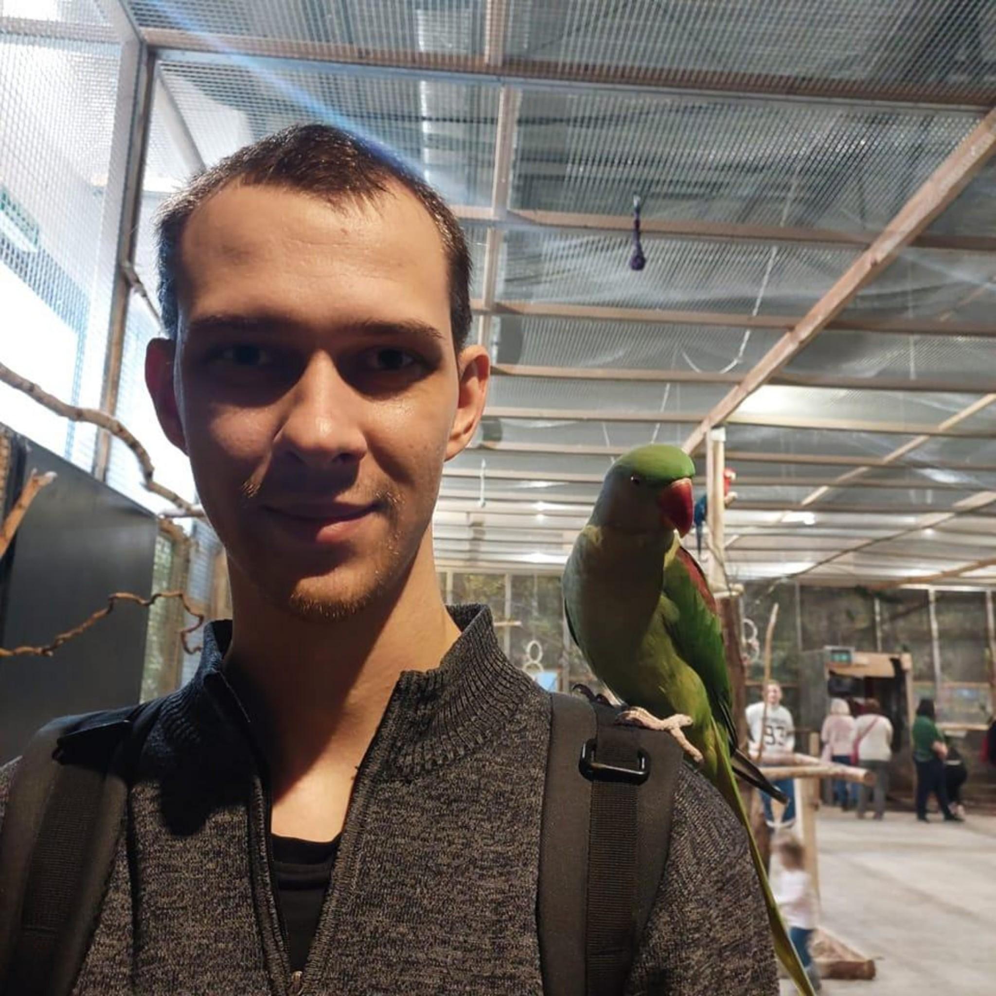 user avatar