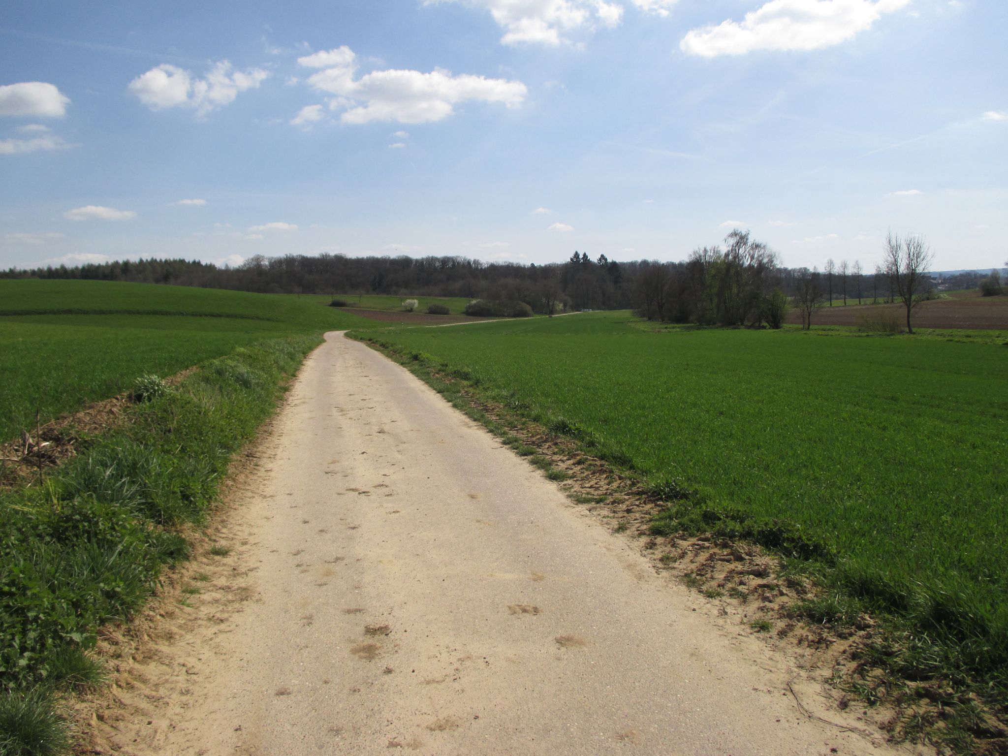 Radwg an der Elsenz