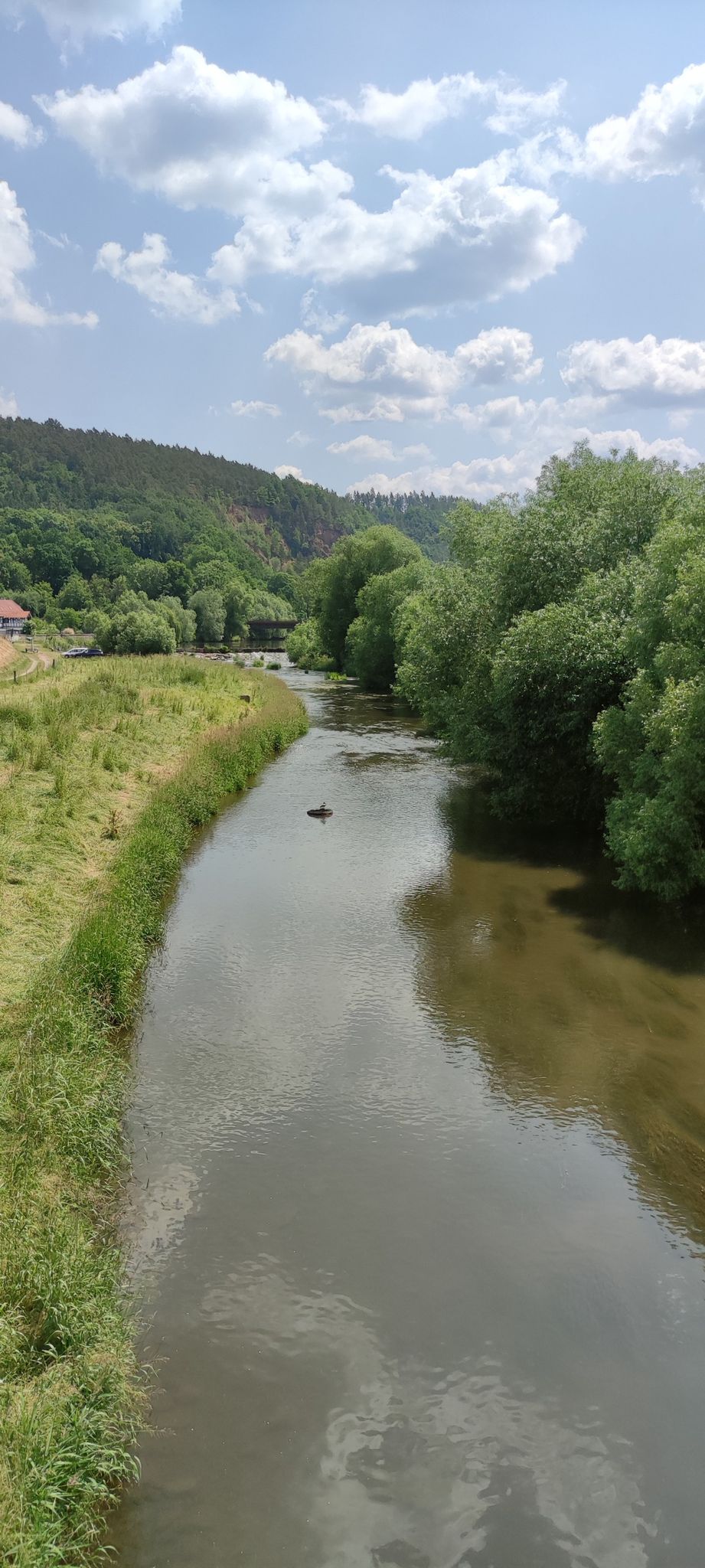 Elsterwehr bei Wünschendorf