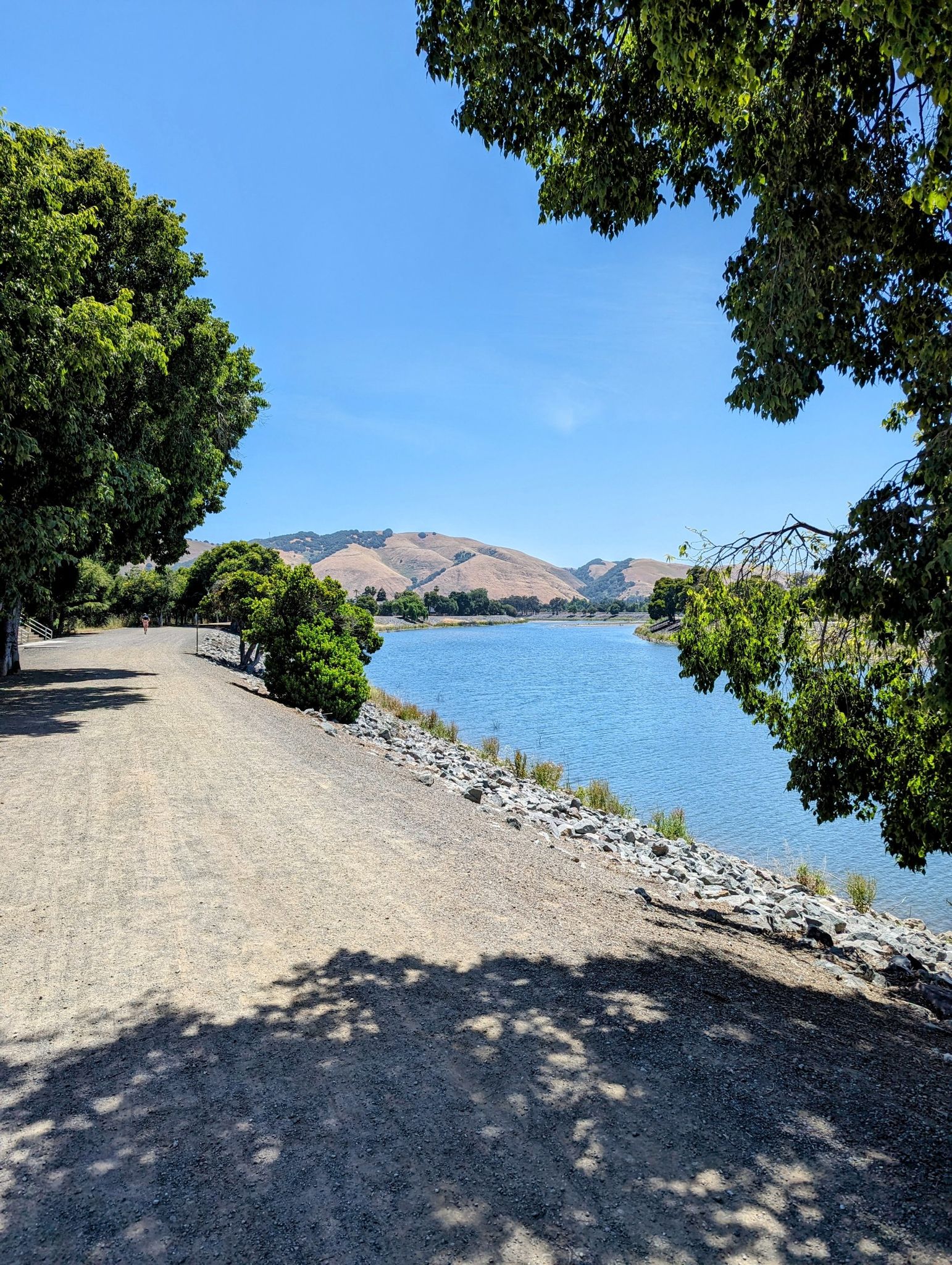 A sunny dirt path winds along a blue lake with green trees and hills. - Shinn Pond – Shinn Pond loop from Niles Essanay Silent Film Museum