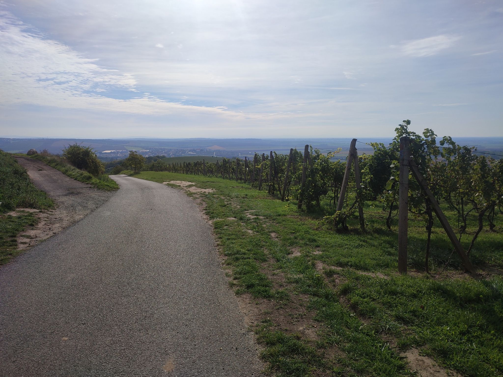 Landschaft