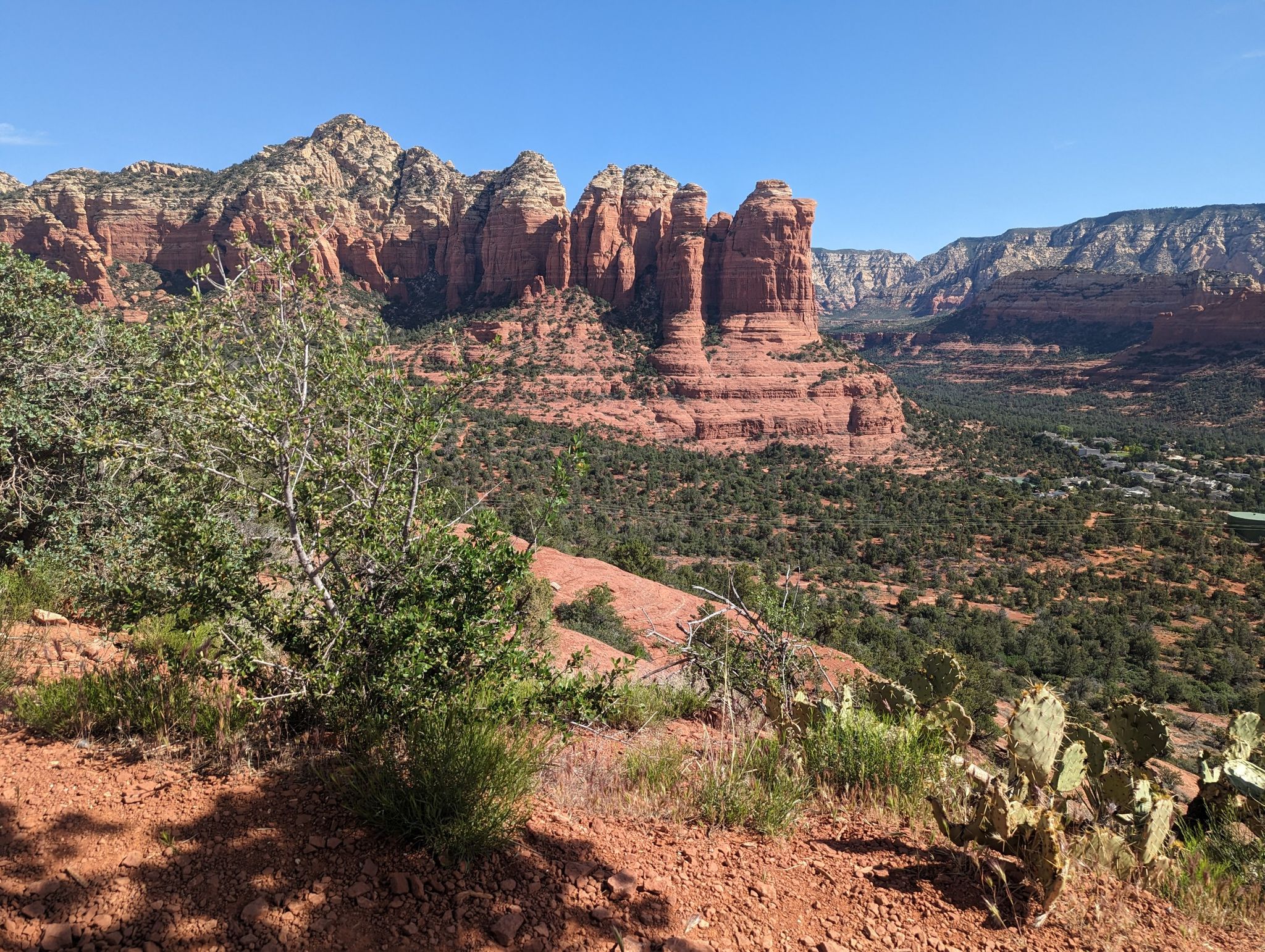 Majestic red rock formations rise above green desert foliage on a sunny day. - Sugarloaf Summit loop from Rodeo & Shelby (Safeway)