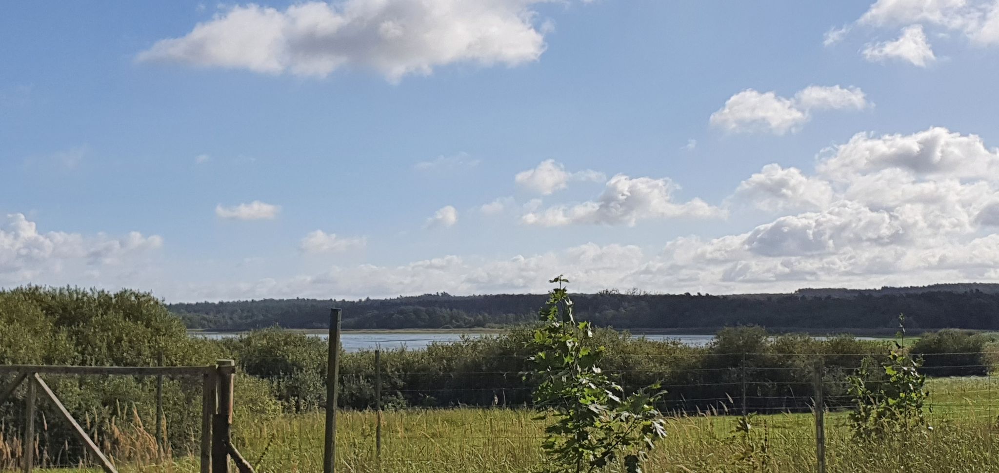 Blick zum see