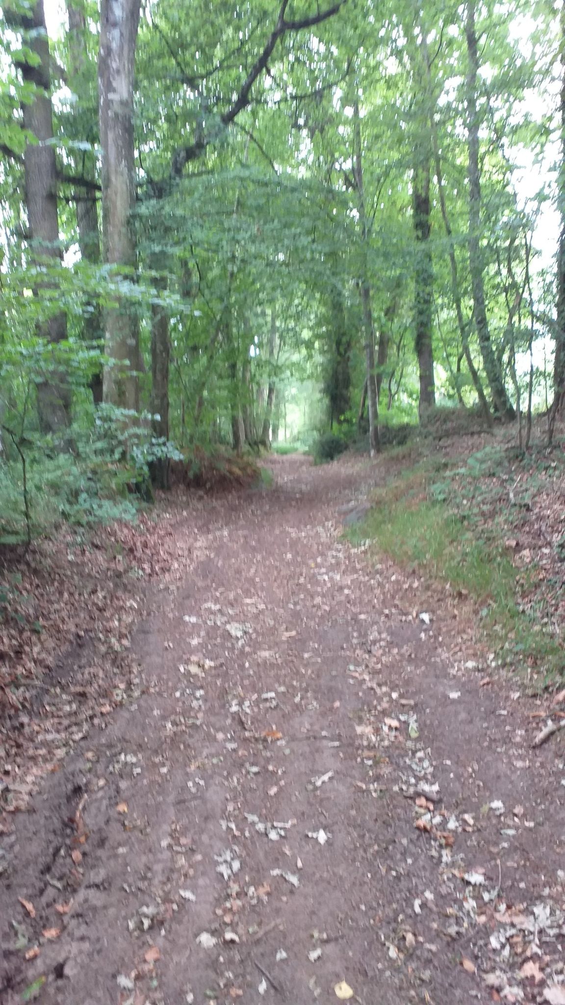 Bien prendre le chemin de Bauchée, sinon on arrive dans une cour fermée...