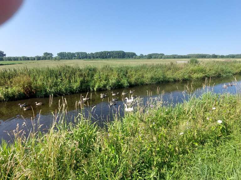 Heidebos Moerbeke en Grote Kreek - Stropersbos | fietstocht | Komoot