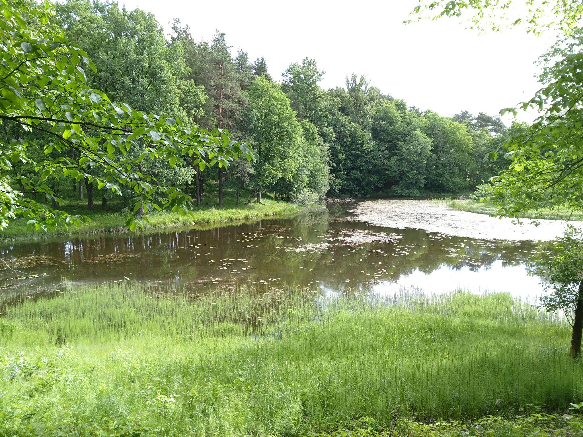 kleiner See bei Viljandi