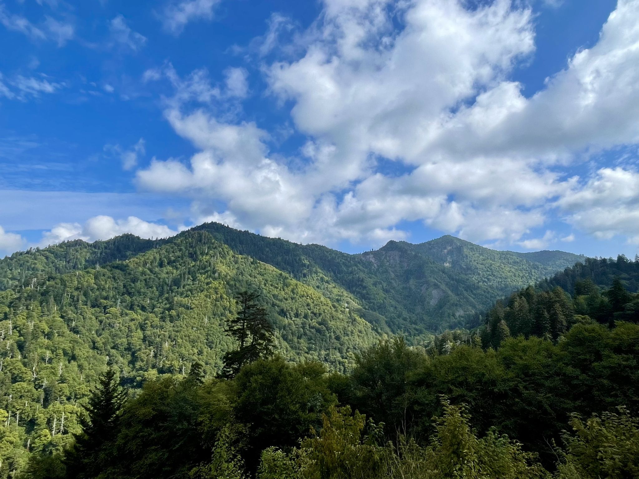 Expansive view of lush green forested mountains under a bright, cloudy sky. - Great Smoky Mountains Scenic Drive: Maryville to Kuwohi