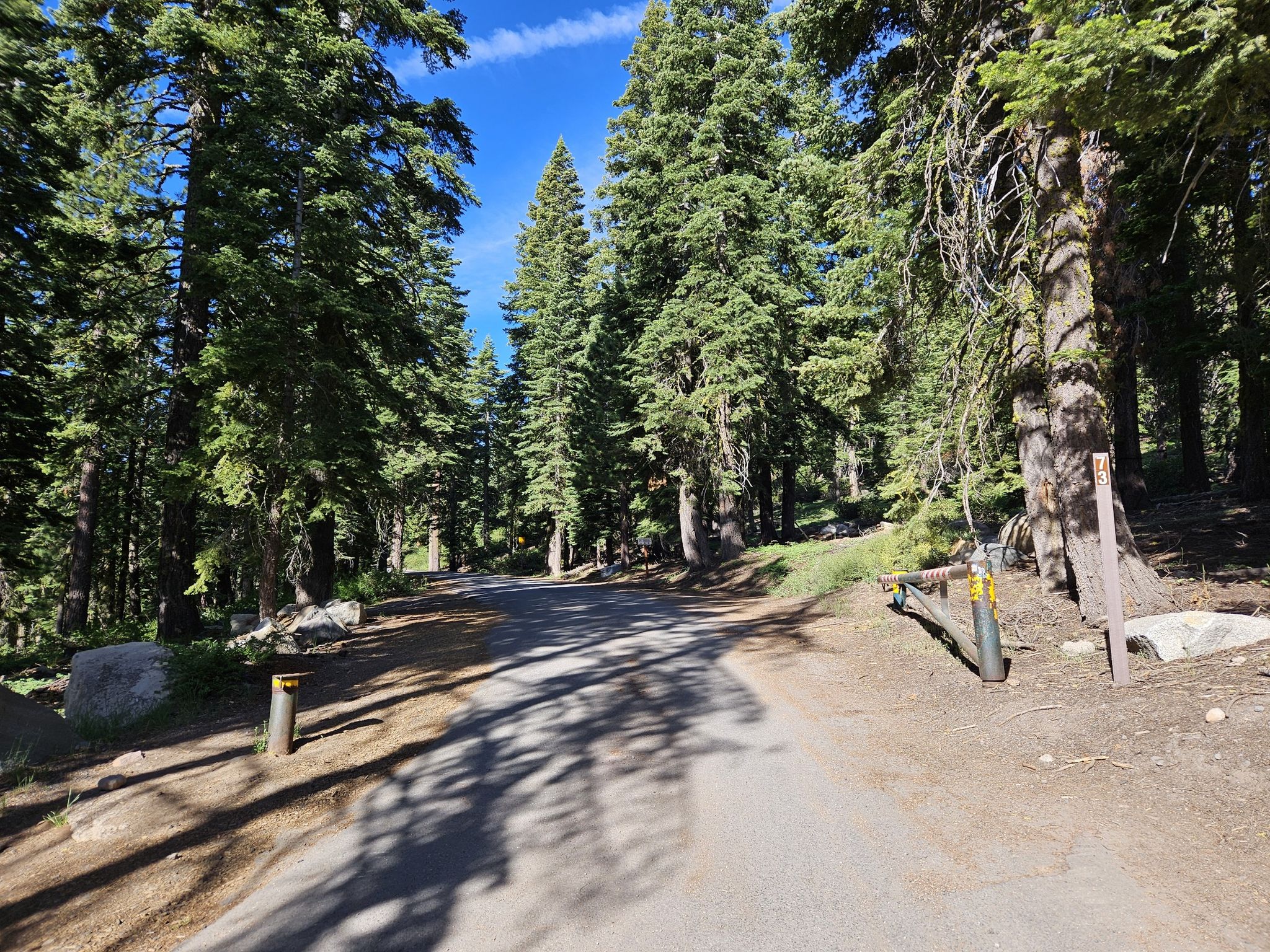 Paved road through a sun-dappled pine forest with bollards. - Brockway Summit – Watson Lake Campground loop from Tahoe Vista